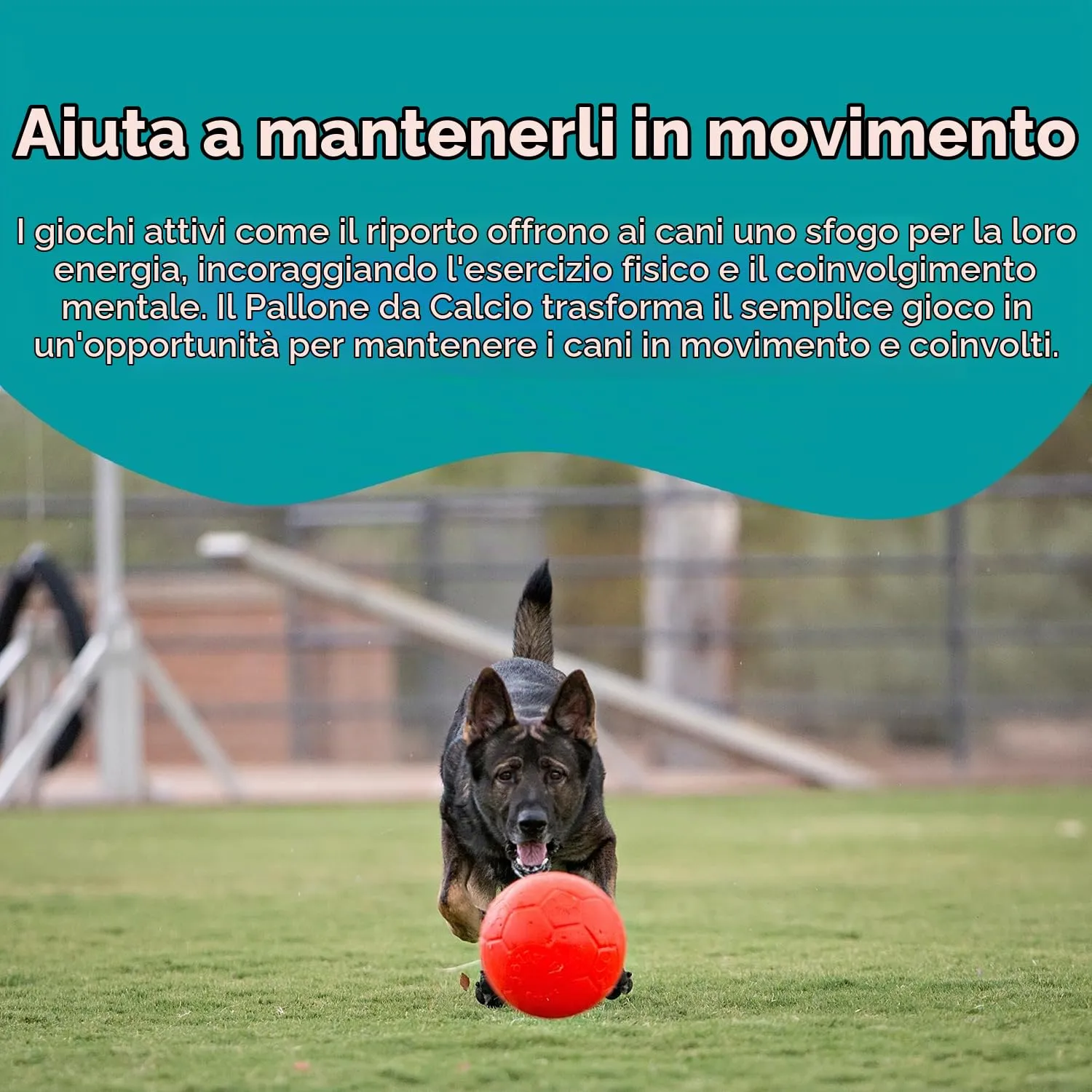 Jolly Pets Palla per cani, 20.3 cm, Aracnione - immagine 6