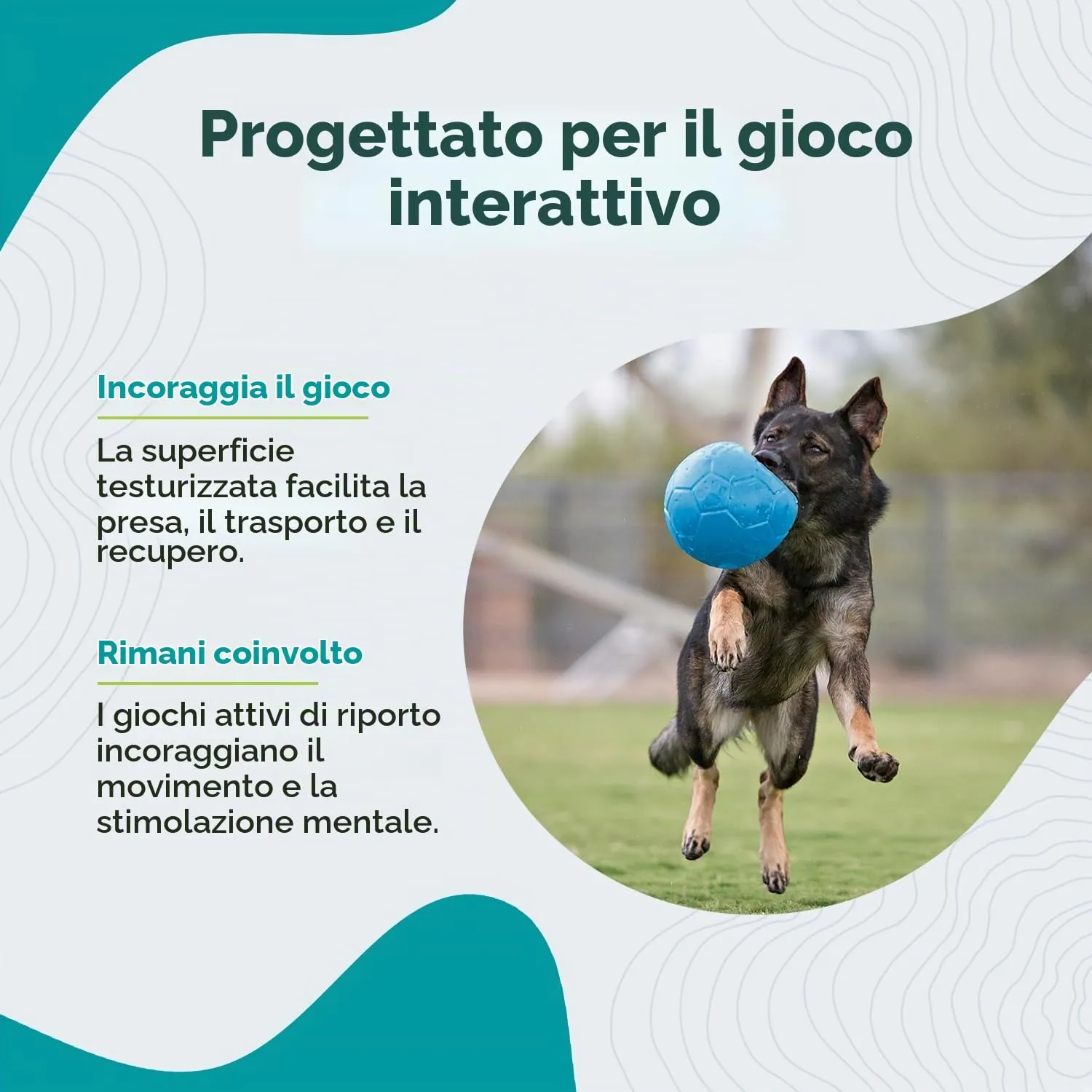 Jolly Pets Palla da Calcio per Cani, Large, Azzurro, SB08 Ocean - immagine 4