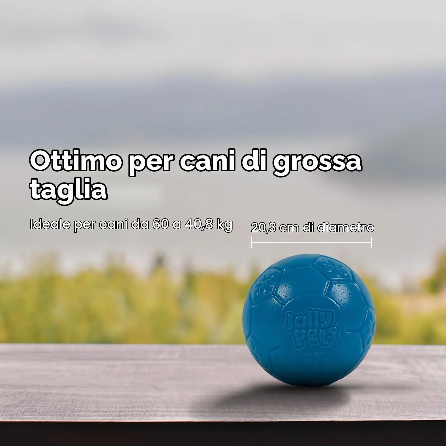 Jolly Pets Palla da Calcio per Cani, Large, Azzurro, SB08 Ocean - immagine 6