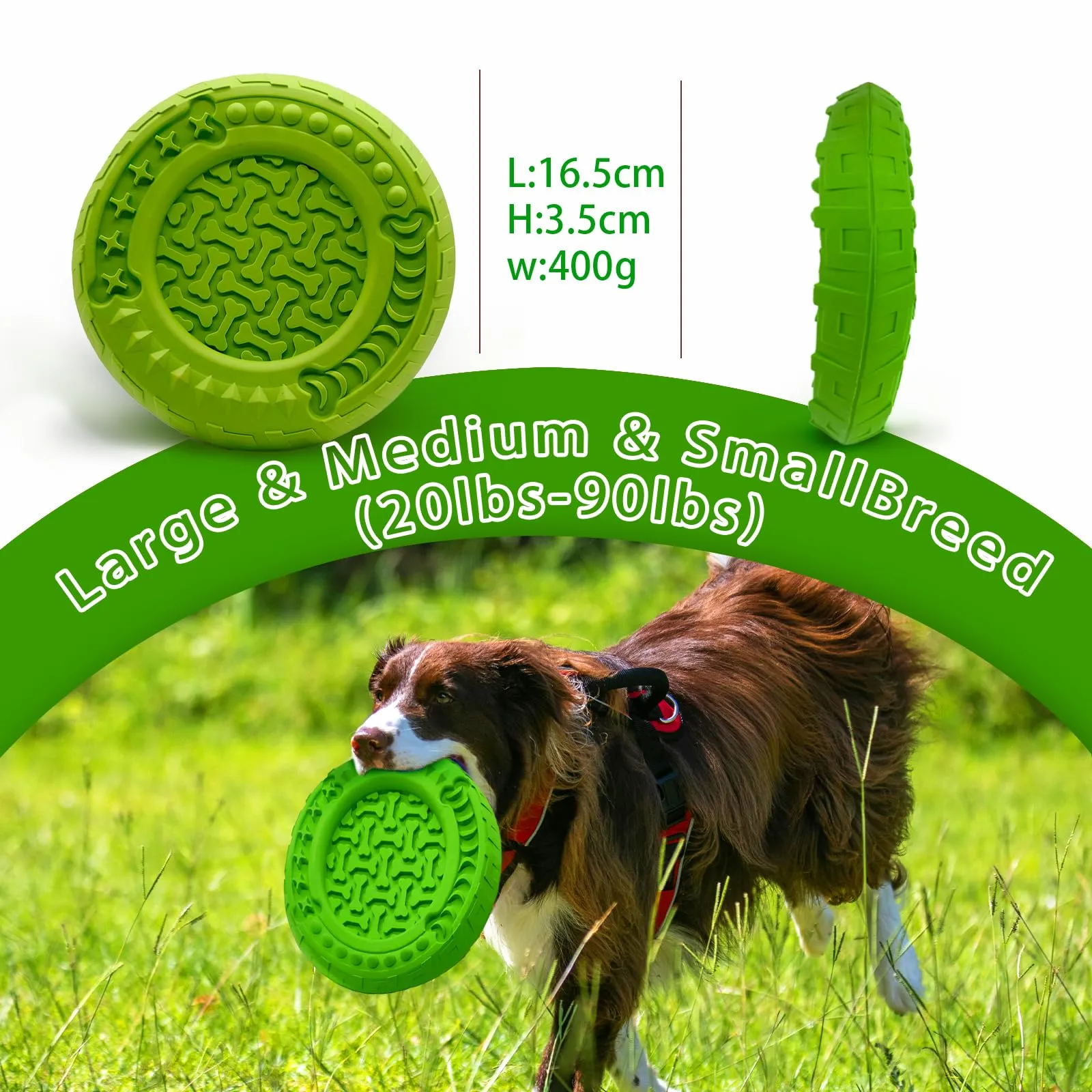 TFSZE Giocattolo per Cane in Gomma Naturale per la Pulizia dei Denti, Bastone da Masticare per Cani Piccoli e Medi, Verde - immagine 2