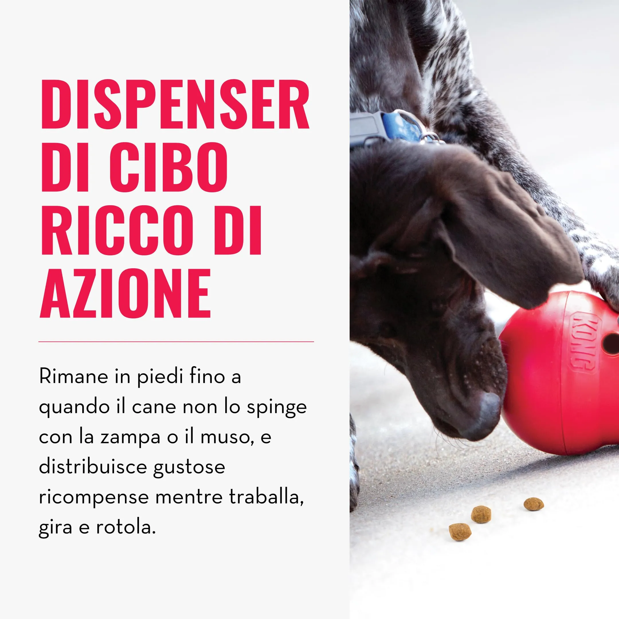 KONG Wobbler Dispenser di Biscotti, Taglia Media/Grande - immagine 2