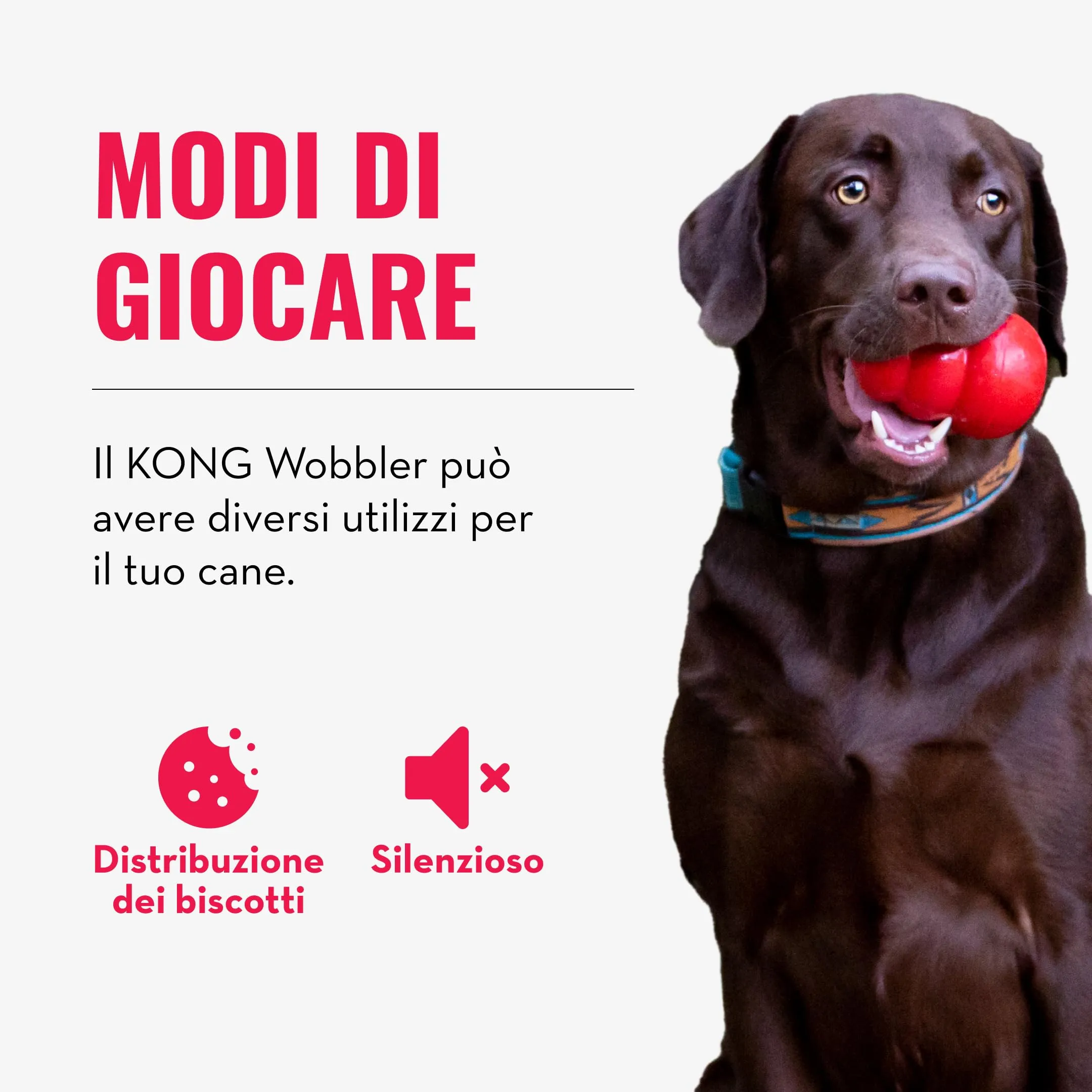 KONG Wobbler Dispenser di Biscotti, Taglia Media/Grande - immagine 4