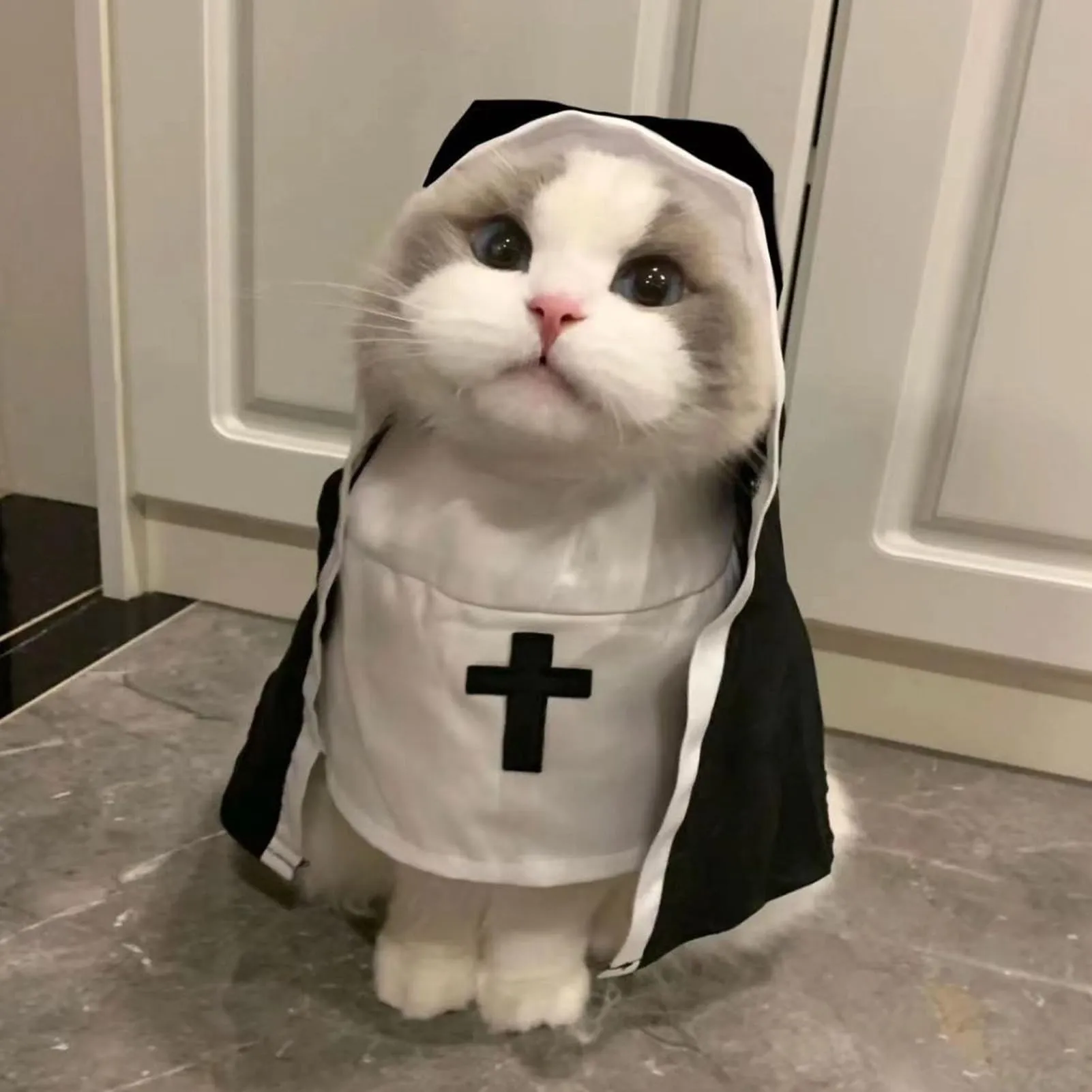 Generico Costume da Suora per Cani e Gatti, Taglia L, Nero e Bianco - immagine 2