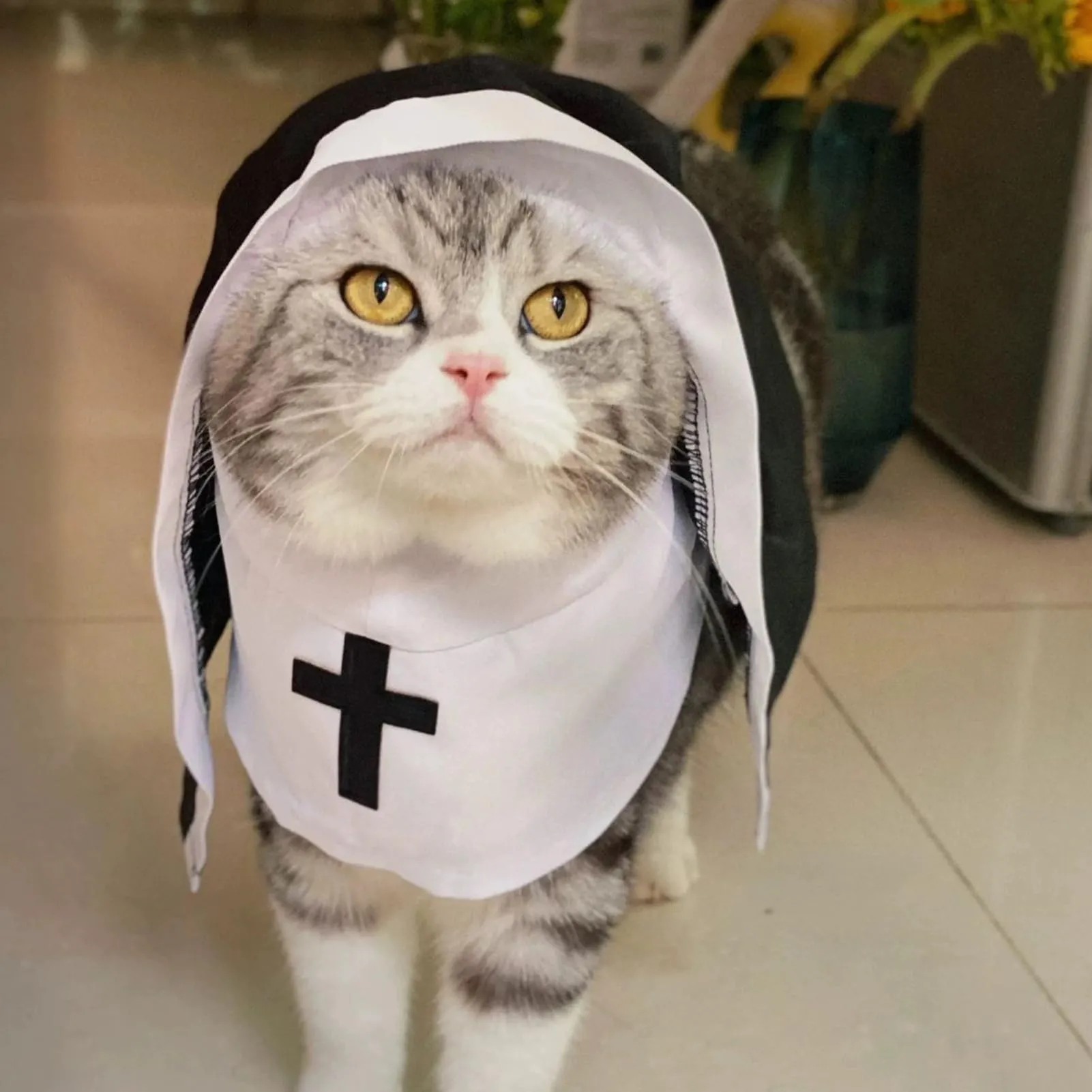 Generico Costume da Suora per Cani e Gatti, Taglia L, Nero e Bianco - immagine 3