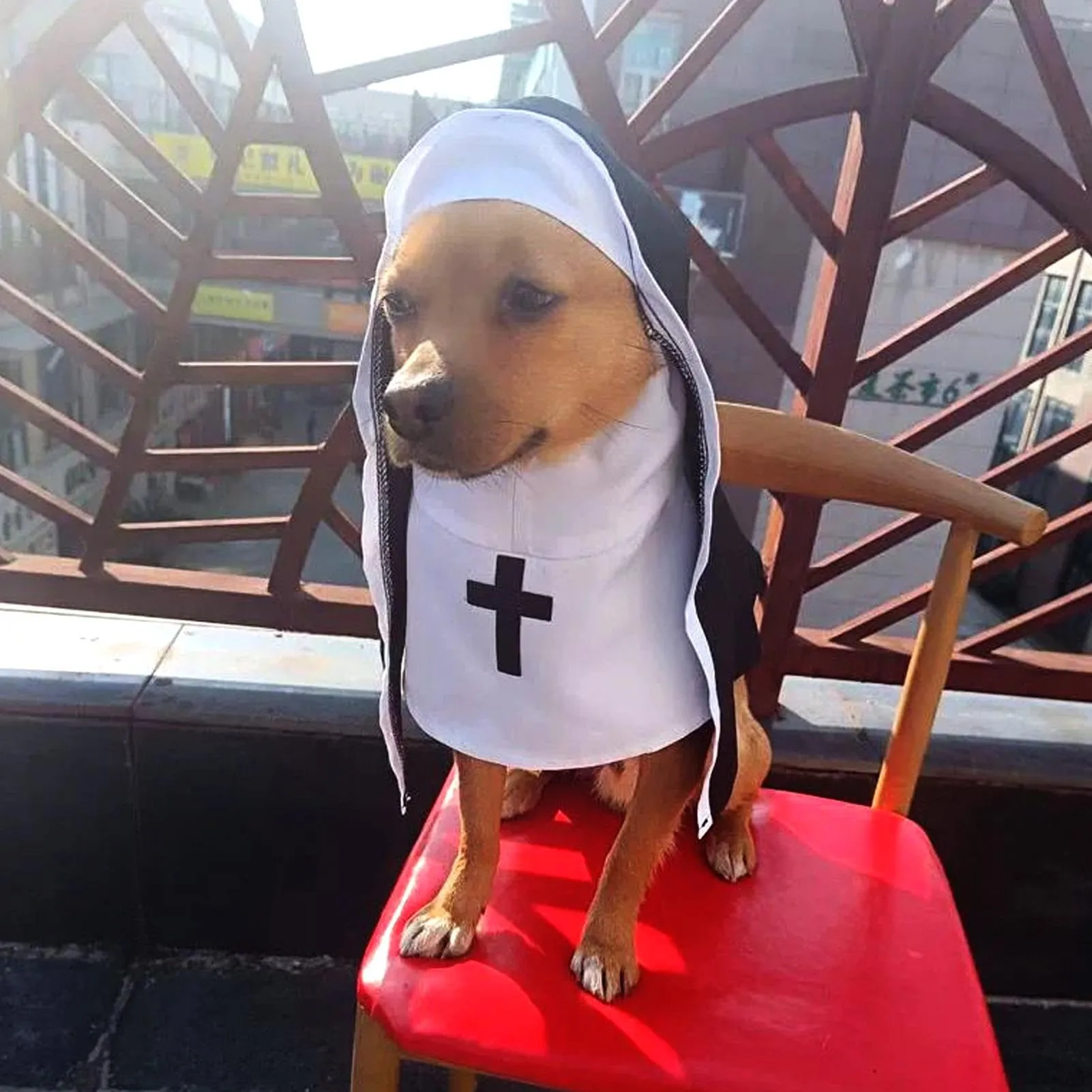 Generico Costume da Suora per Cani e Gatti, Taglia L, Nero e Bianco - immagine 6
