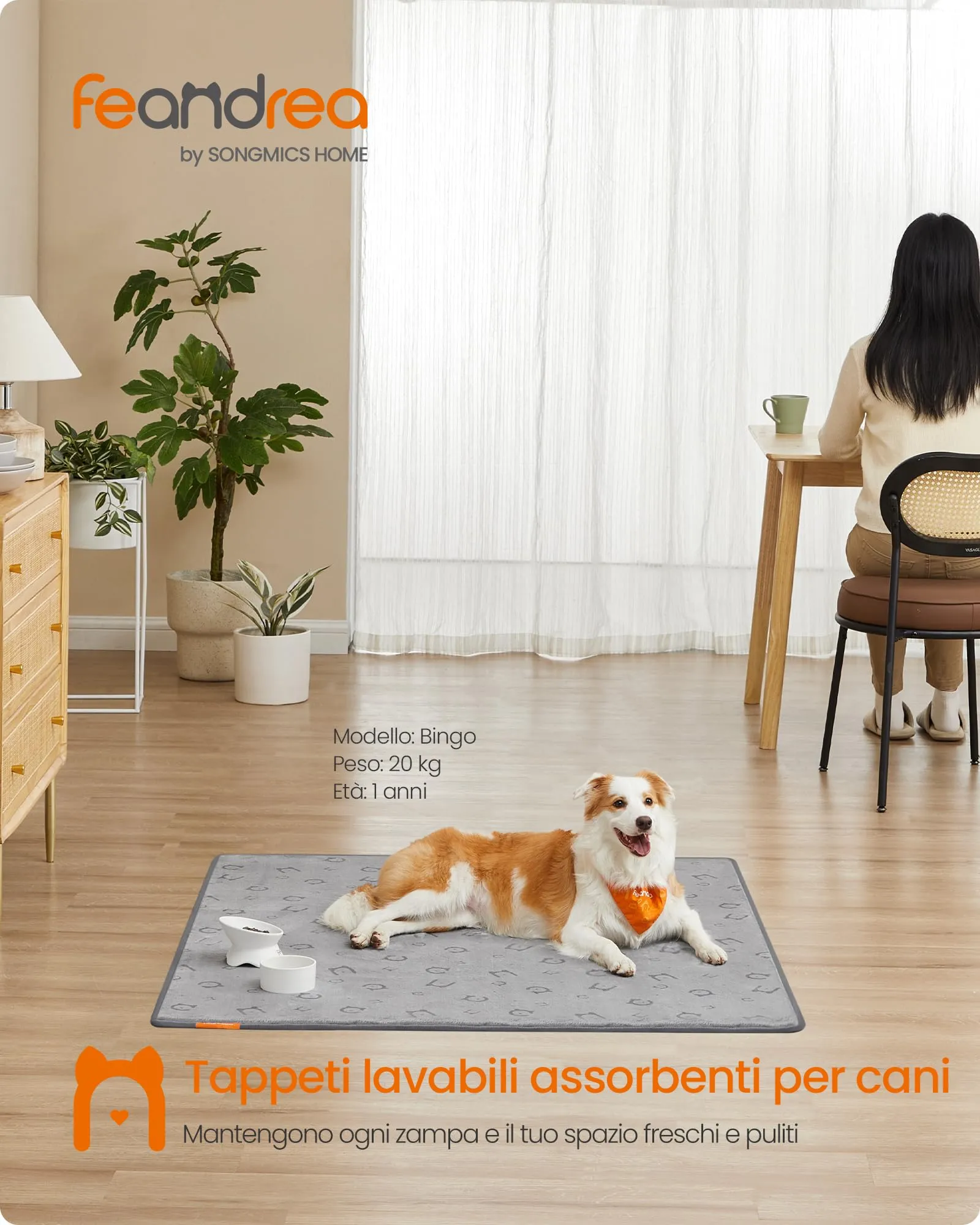 Feandrea Tappeti per Addestramento per Cani, 2 Pezzi, 152 x 122 cm - immagine 2