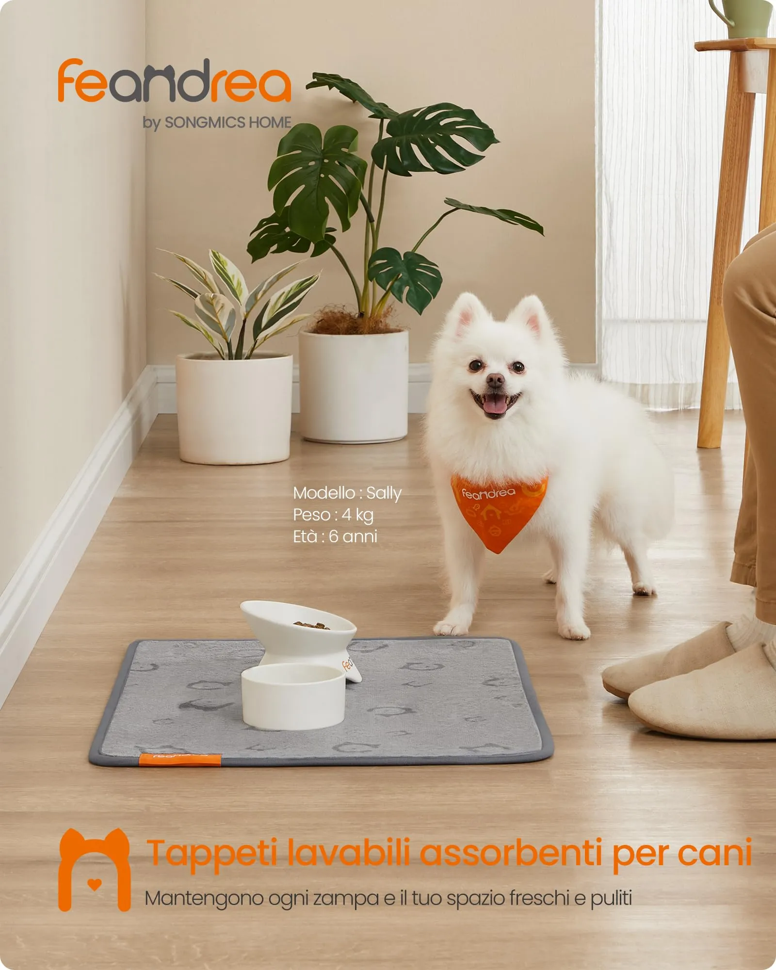 Feandrea Tappeti per Addestramento per Cani, 2 Pezzi, 61 x 46 cm - immagine 2