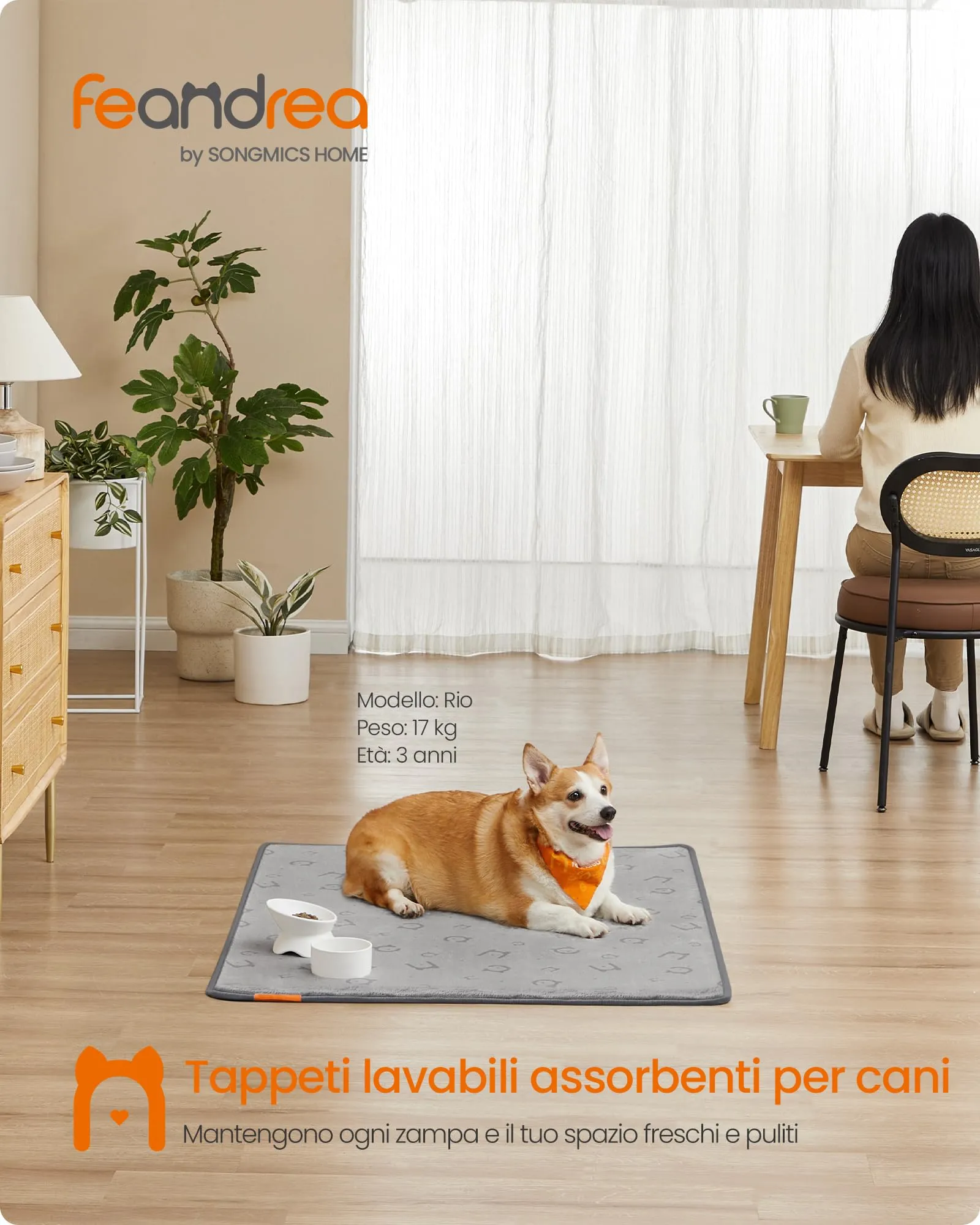 Feandrea Tappeti per Addestramento per Cani, 2 Pezzi, 122 x 91 cm - immagine 2