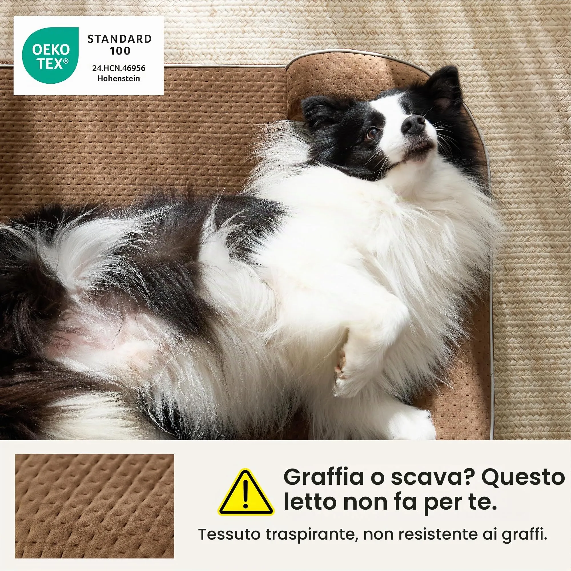LE SURE RealOrtho Cuccia per cani in memory foam, grande, divano - immagine 6
