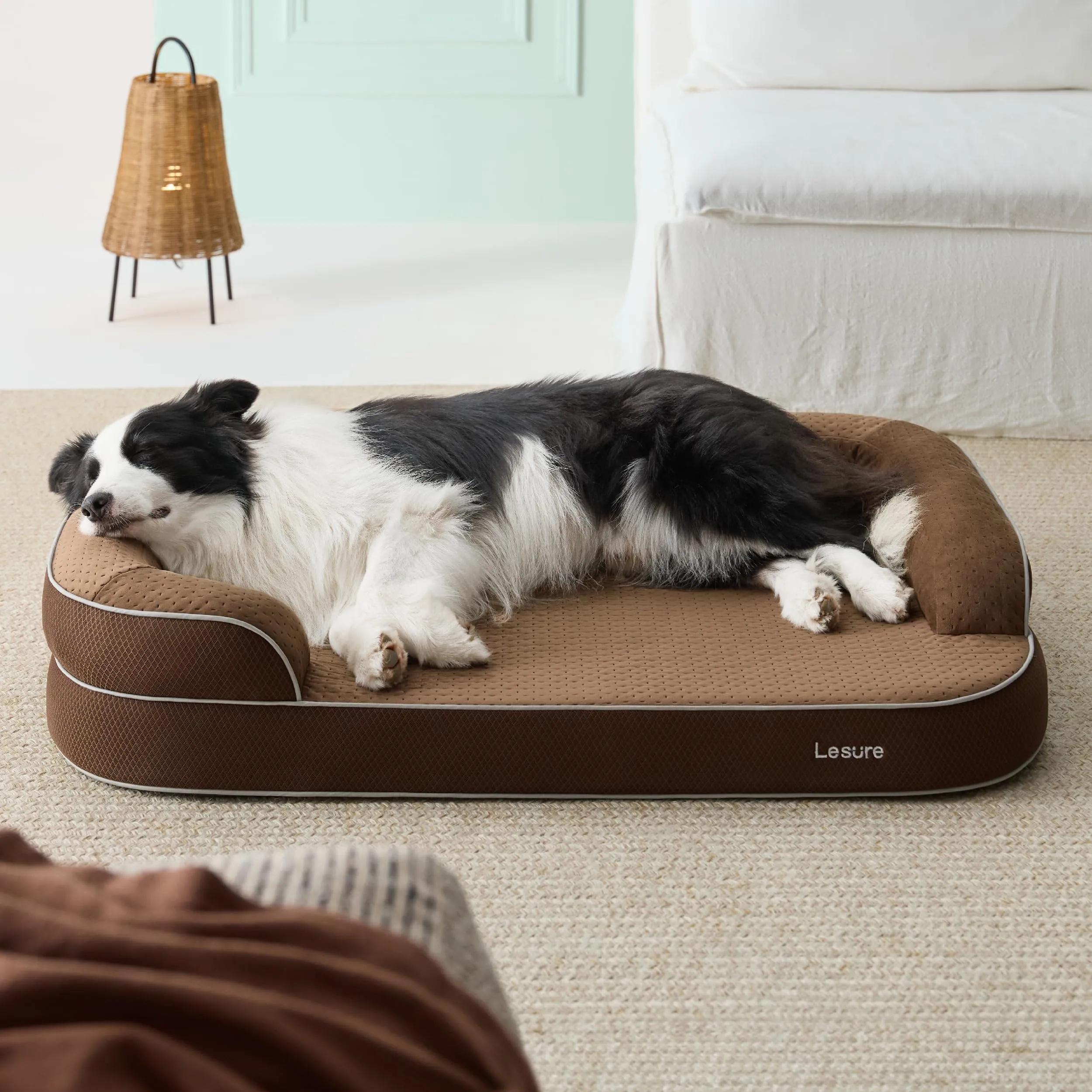 LE SURE RealOrtho Cuccia per cani in memory foam, grande, divano - immagine 7