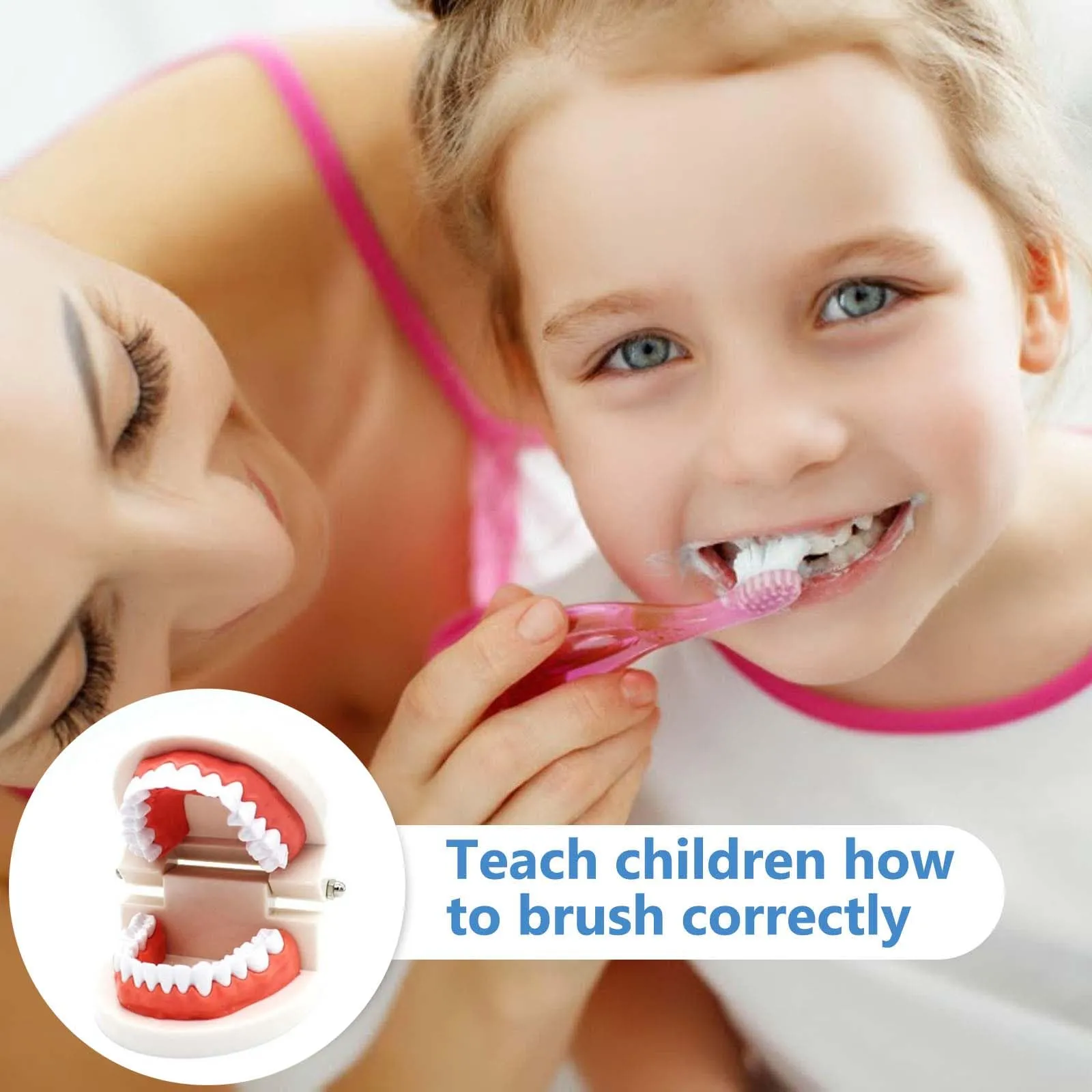 ANBOO Modello Dentale in PVC per Educazione Dentale e Cura Orale, 2 Pezzi con Spazzolini - immagine 4
