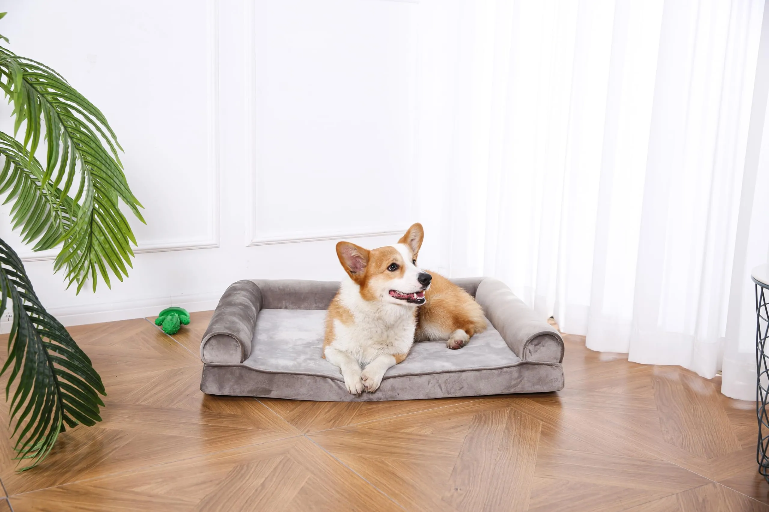 Amazon Basics Cuccia per cani stile divano in schiuma sfoderabile, Taupe, 91 x 69 x 17 cm - immagine 7