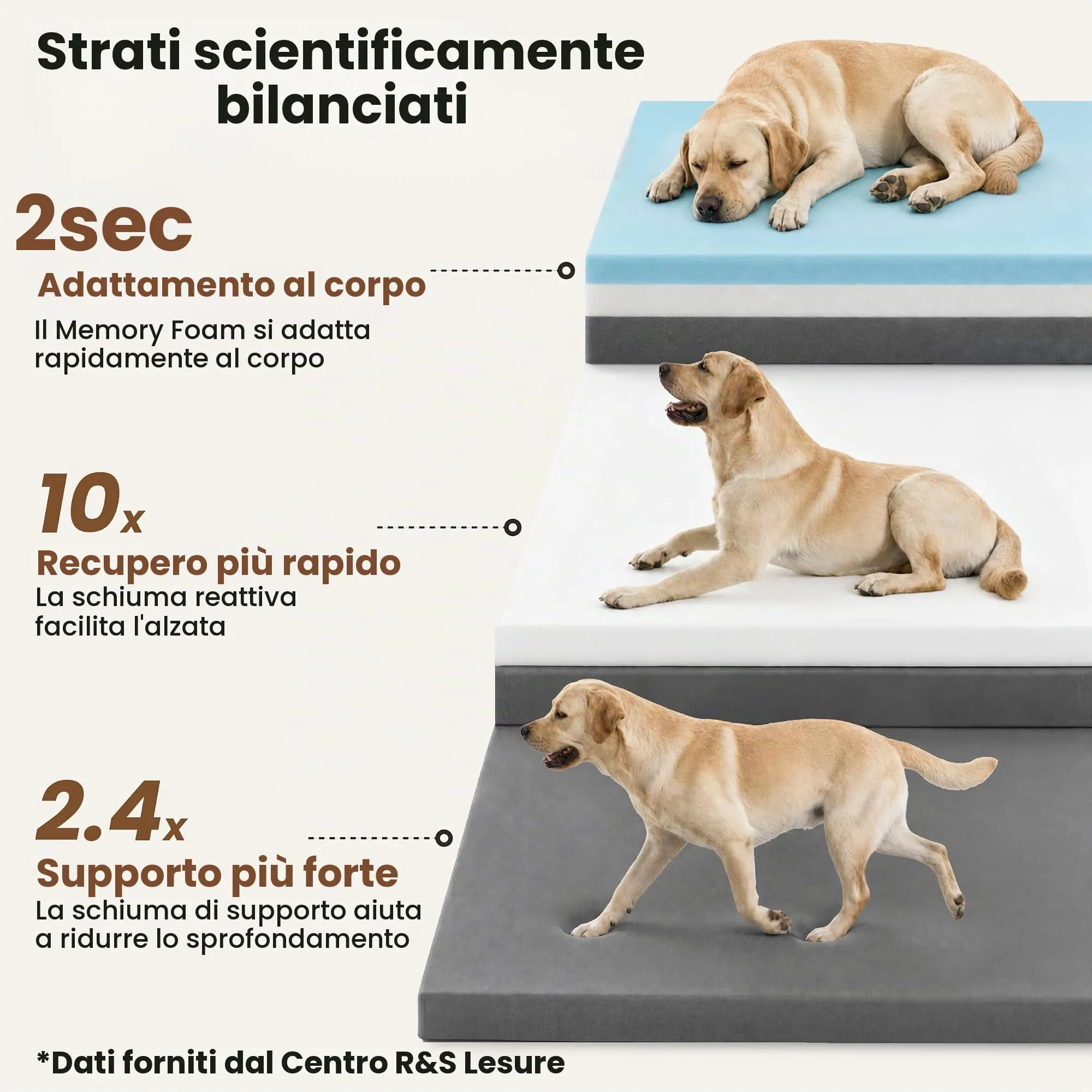 LE SURE RealOrtho Cuccia per cani in memory foam, Grande, Divano - immagine 3