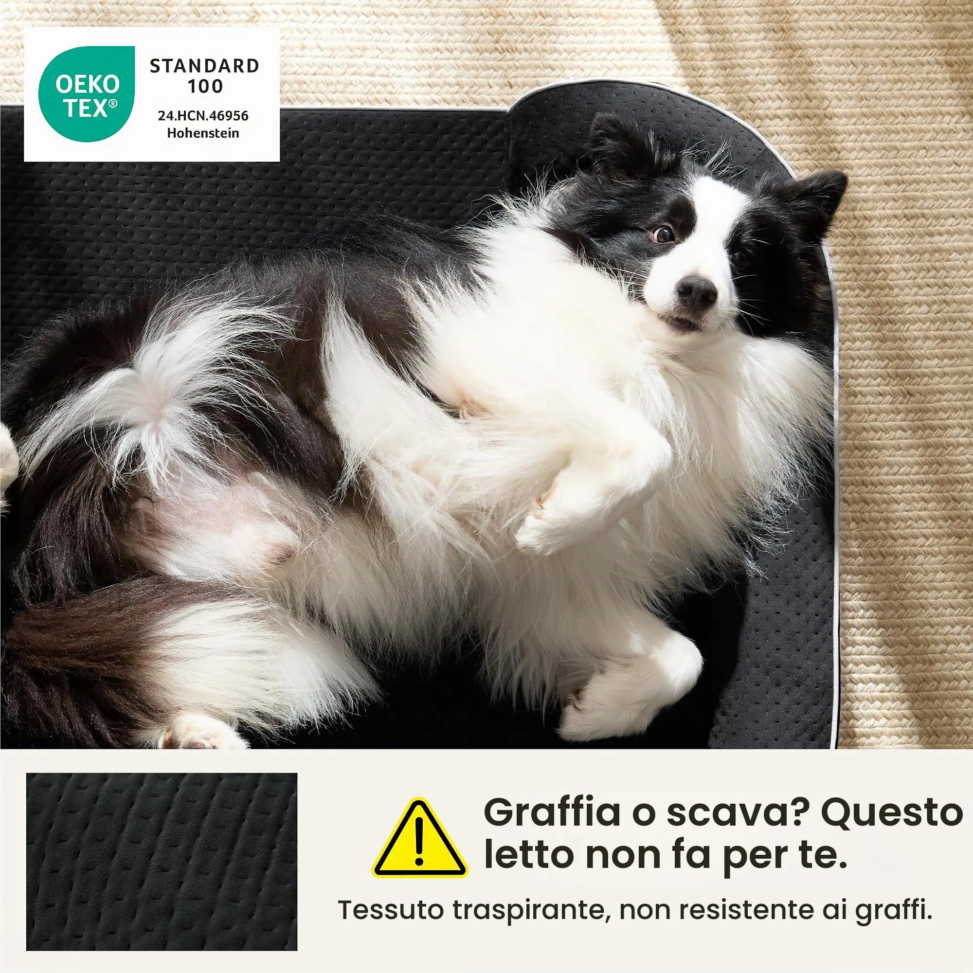 LE SURE RealOrtho Cuccia per cani in memory foam, Grande, Divano - immagine 6