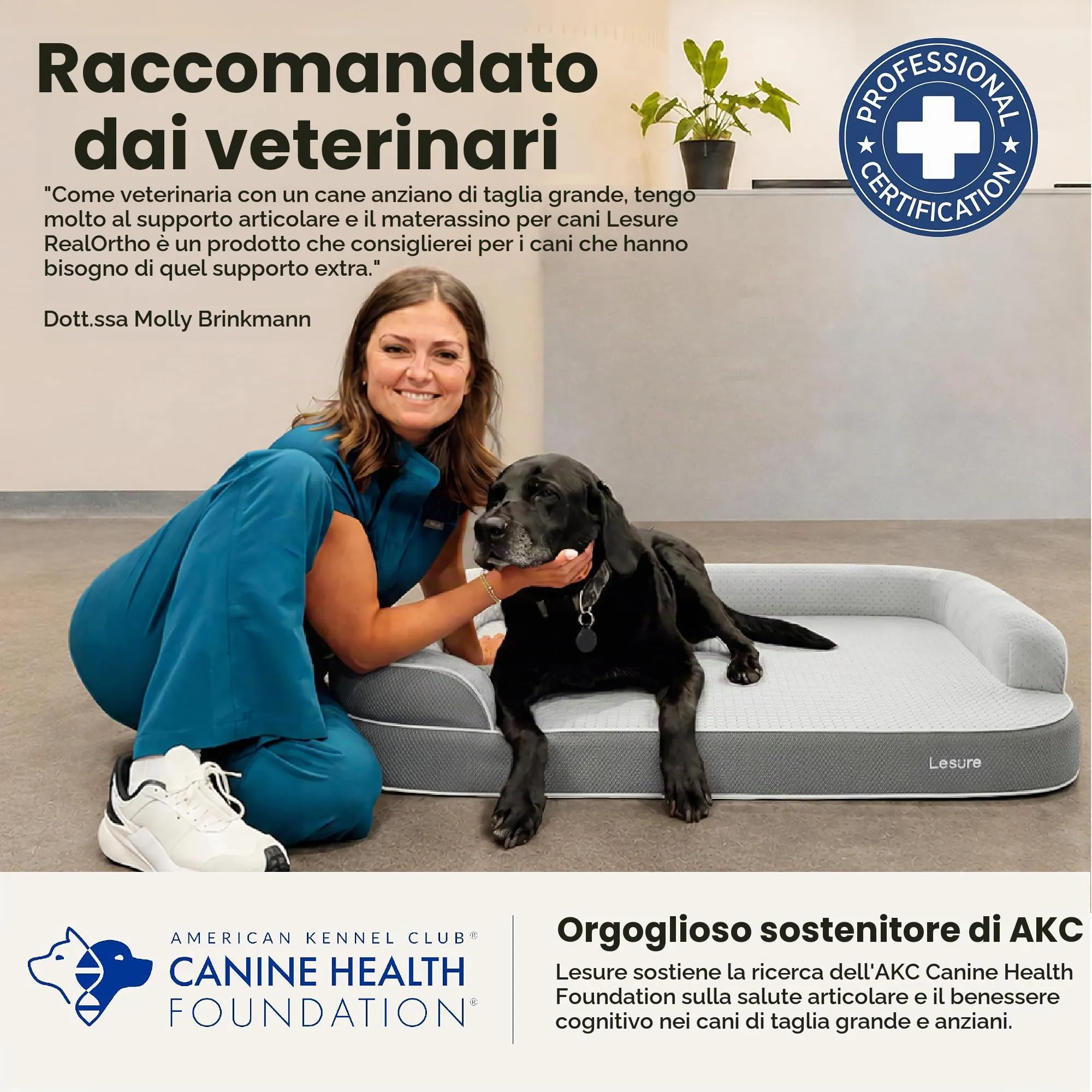LE SURE RealOrtho Cuccia per cani in memory foam, grande, divano - immagine 2