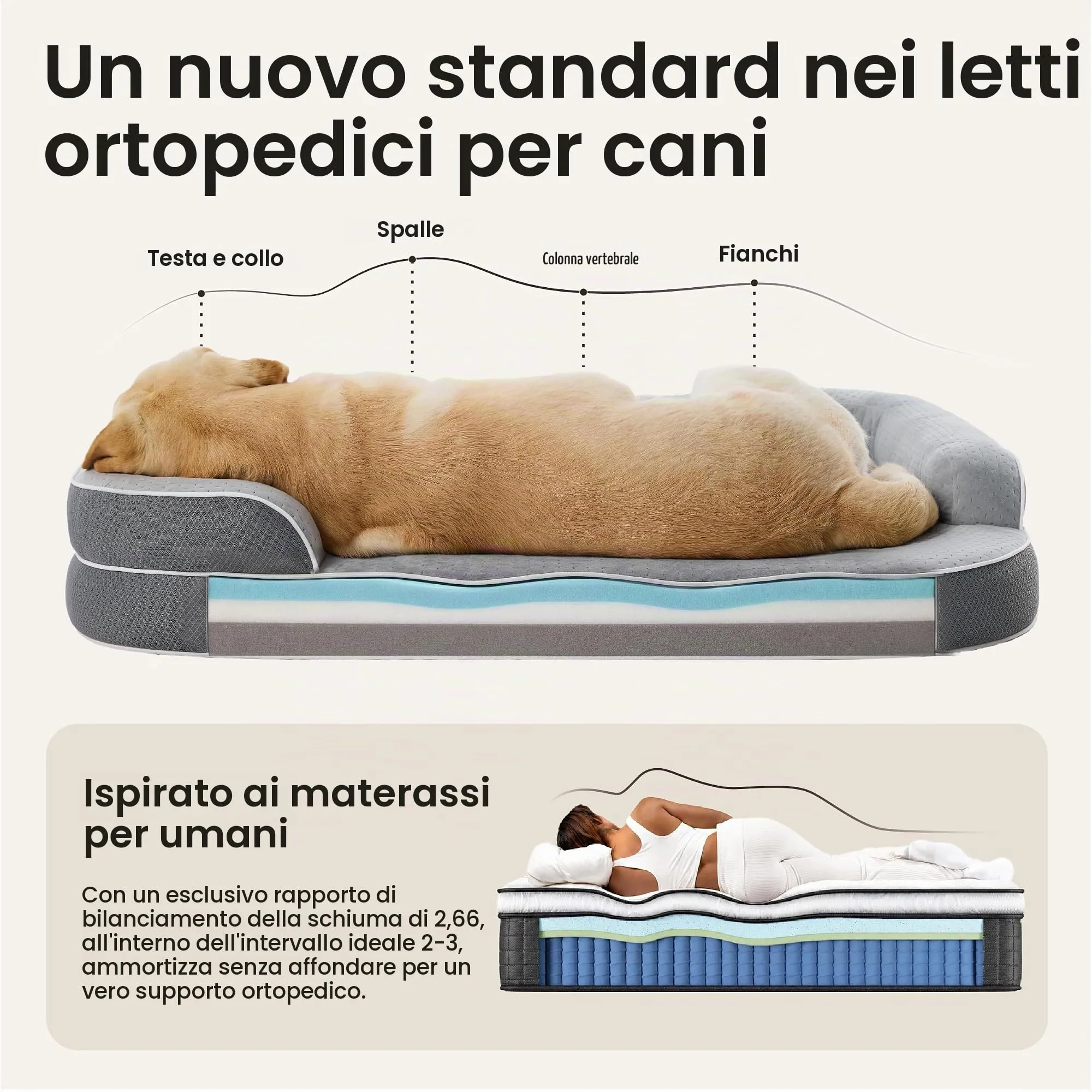 LE SURE RealOrtho Cuccia per cani in memory foam, grande, divano - immagine 4