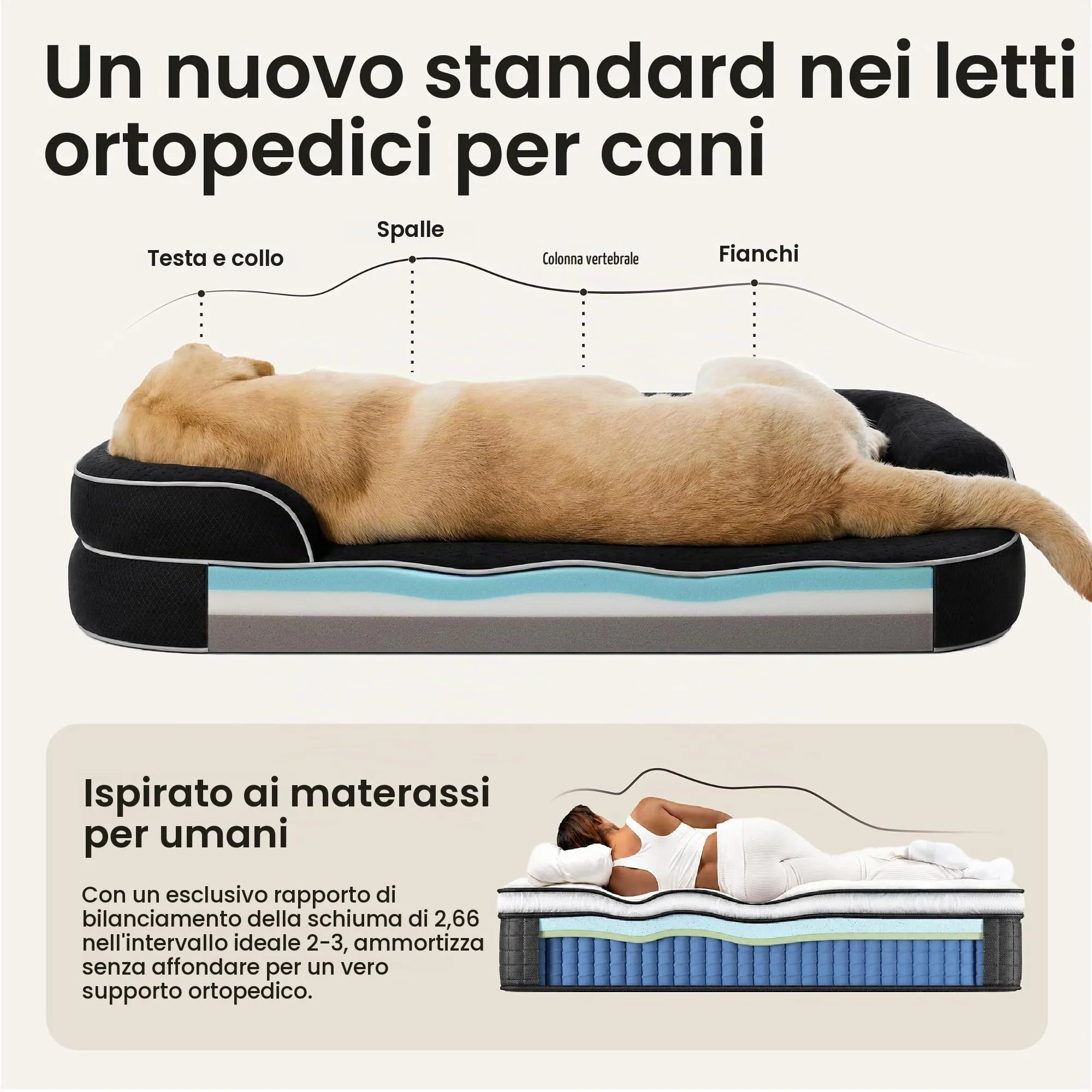 LE SURE RealOrtho Cuccia per cani in memory foam, divano, grande - immagine 4