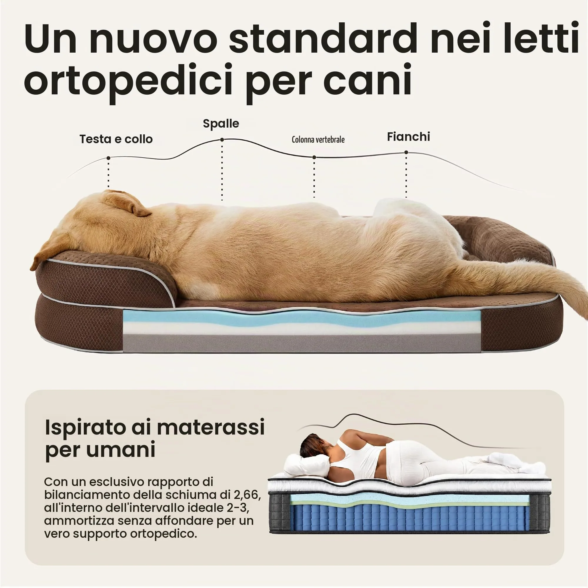 LE SURE RealOrtho Cuccia per cani in memory foam, divano, grande - immagine 4