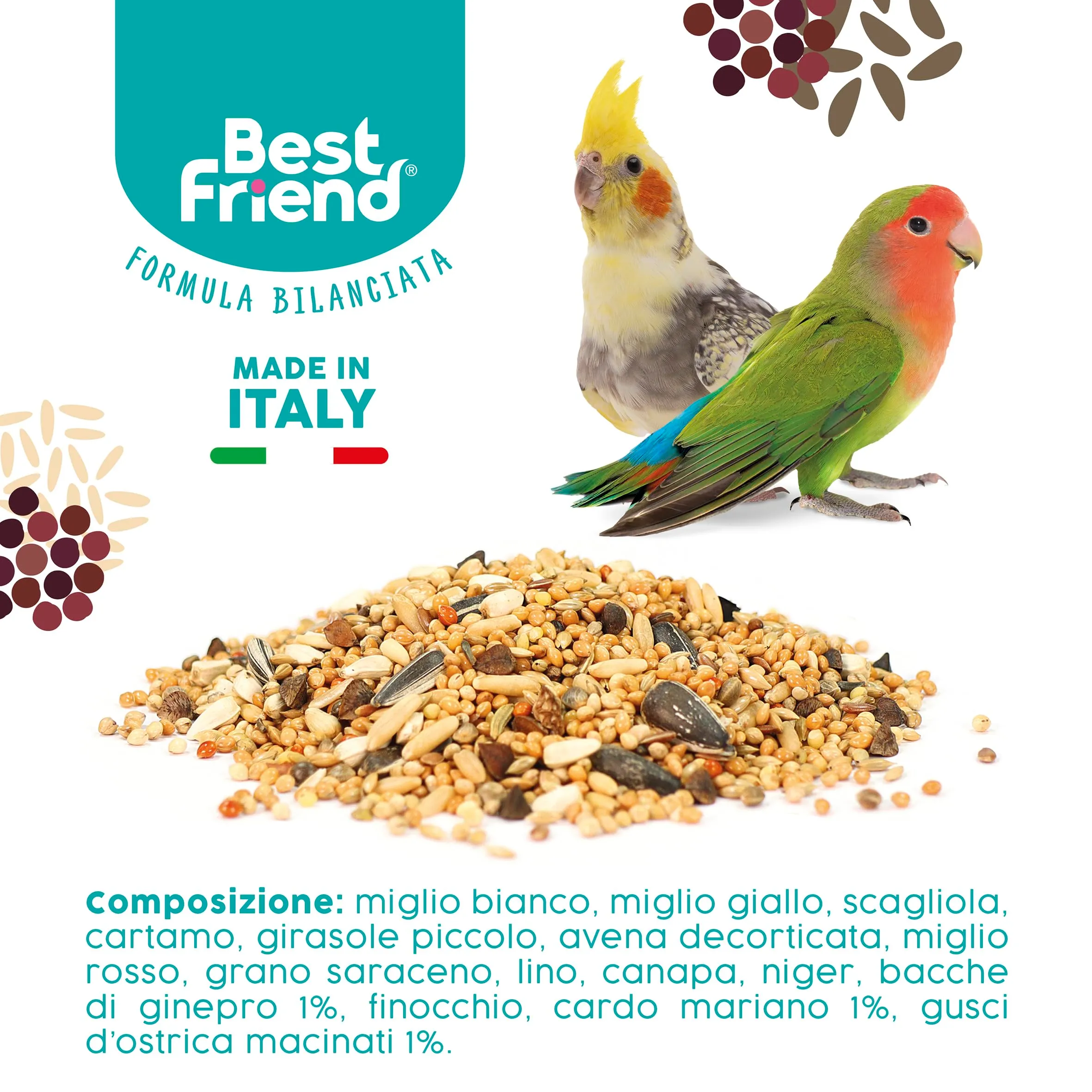 Best Friend Mangime Completo per Inseparabili e Parrocchetti con Cardo Mariano, 2 x 500 g - immagine 6