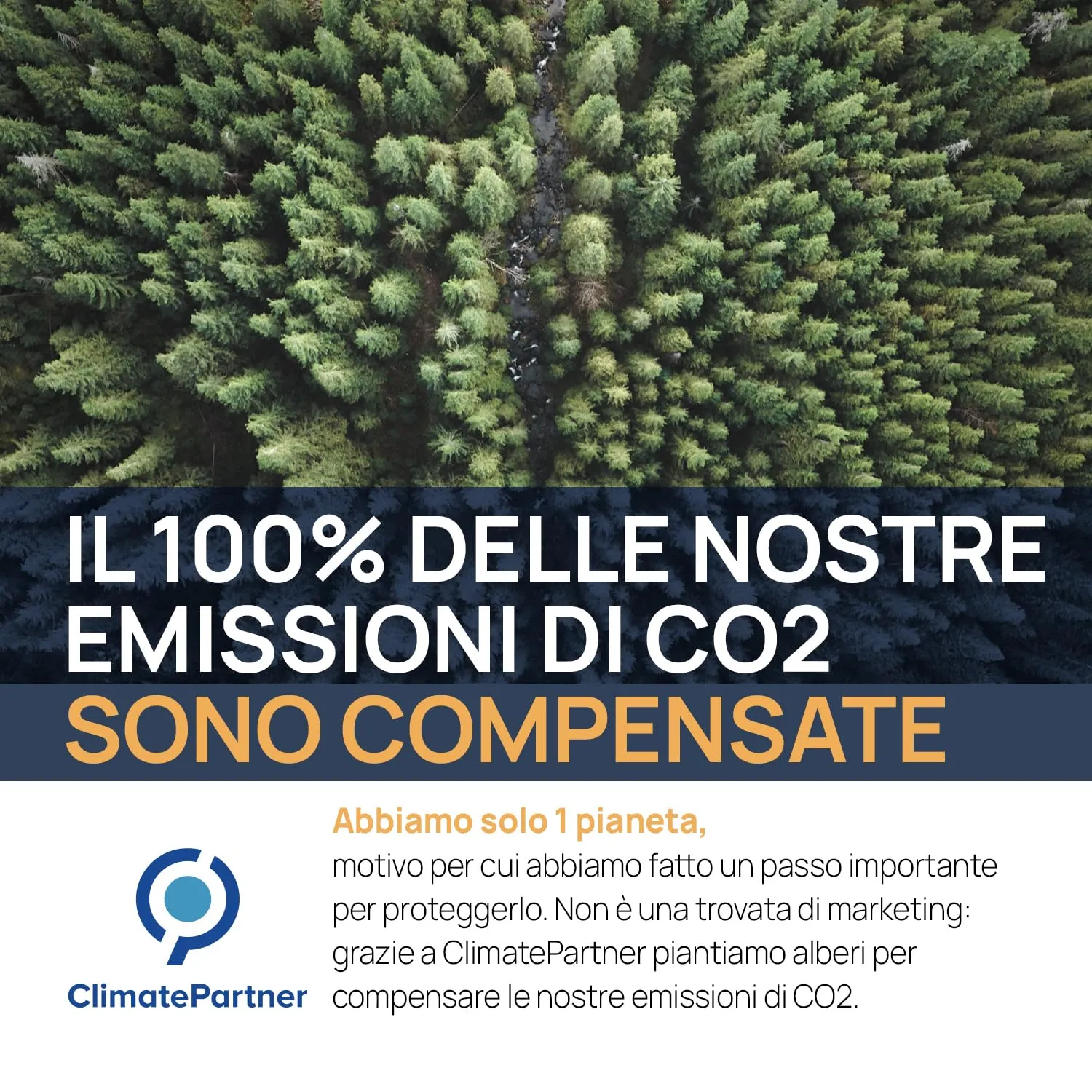 Institut Katharos Argento Colloidale Puro 20 PPM, 1000 ml - immagine 6