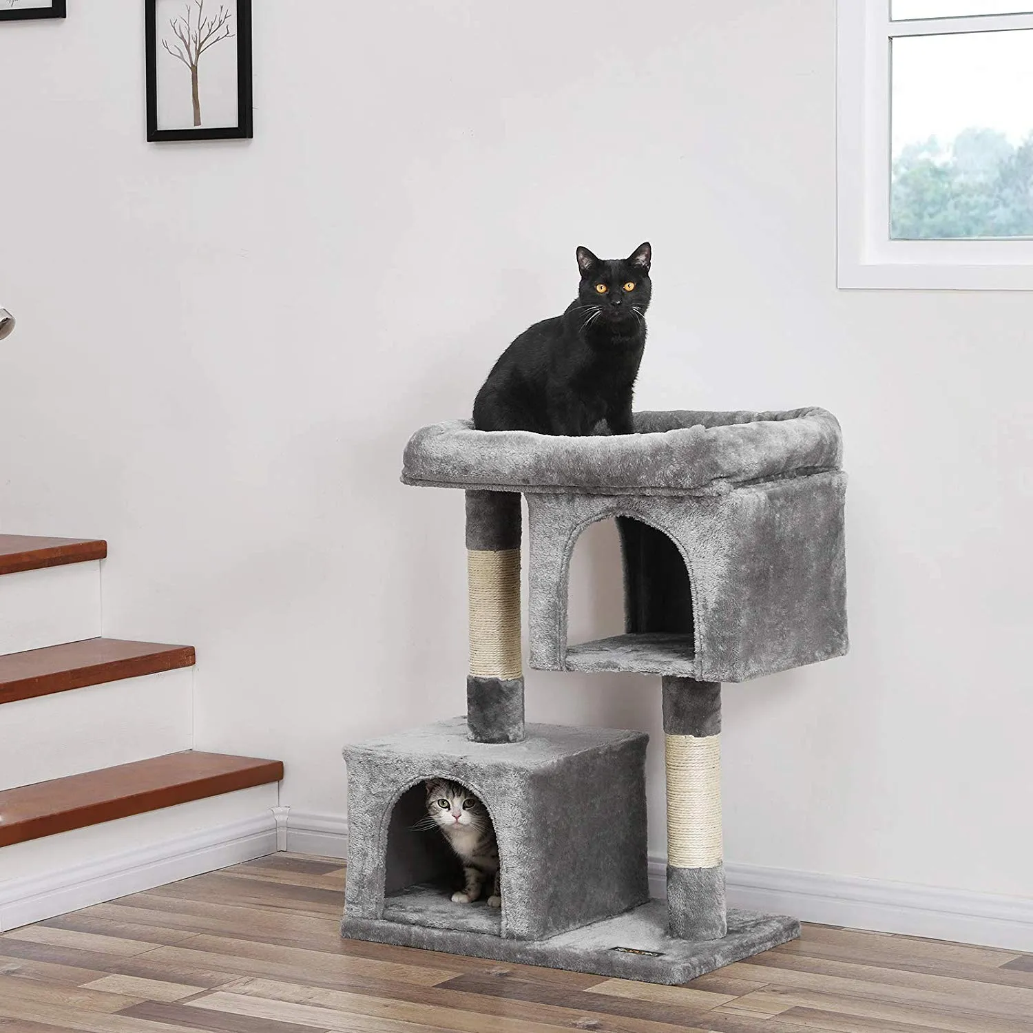 Feandrea Albero per Gatti con Tiragraffi, 84 cm, 2 Grotte - immagine 2
