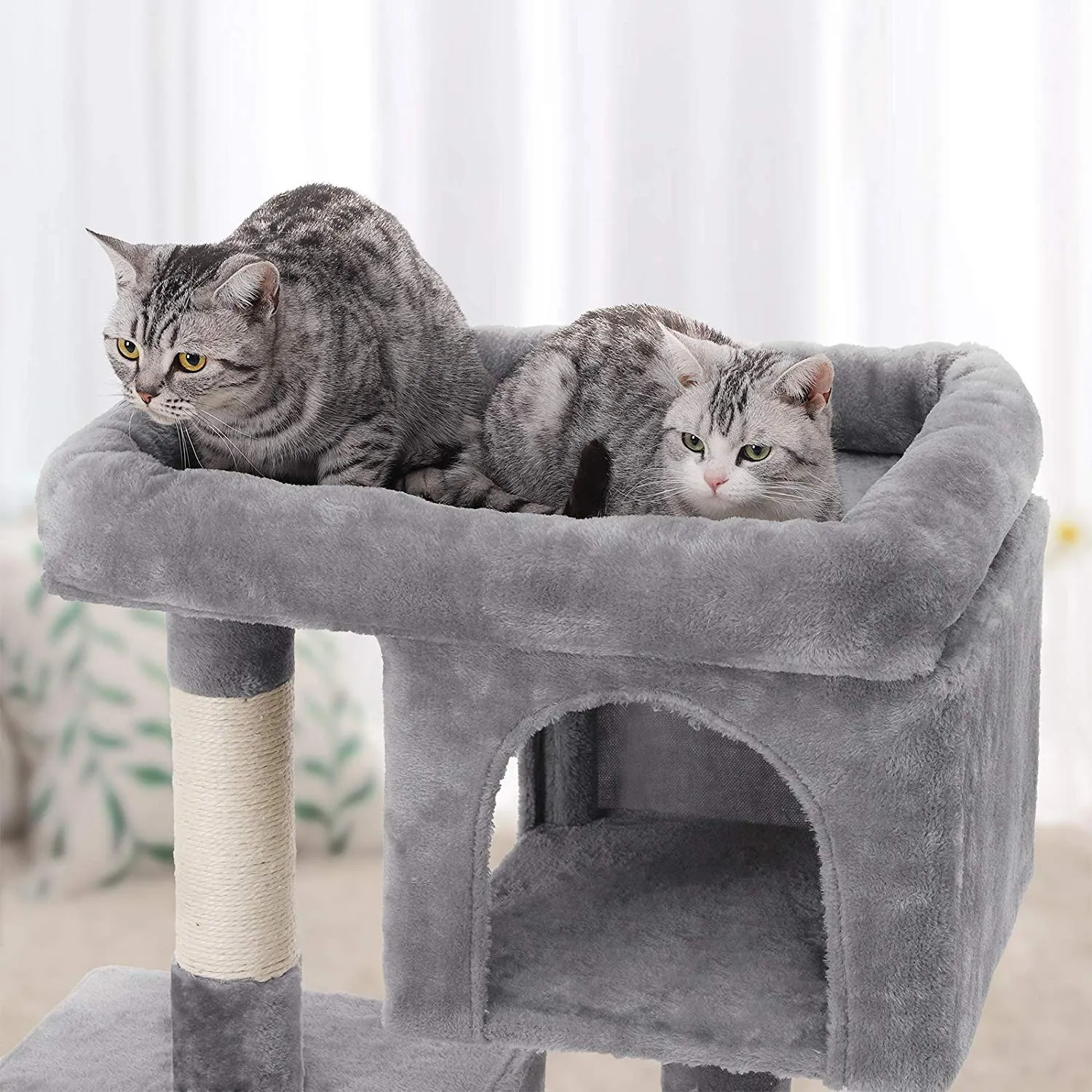 Feandrea Albero per Gatti con Tiragraffi, 84 cm, 2 Grotte - immagine 4