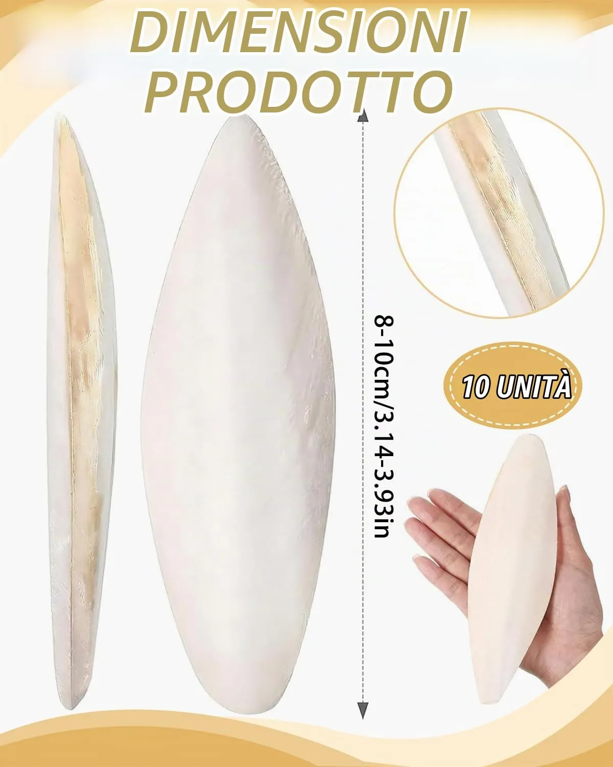 JEXOWIQ Osso di seppia per pappagalli, rettili e tartarughe, 8-10 cm, 10 pezzi - immagine 2