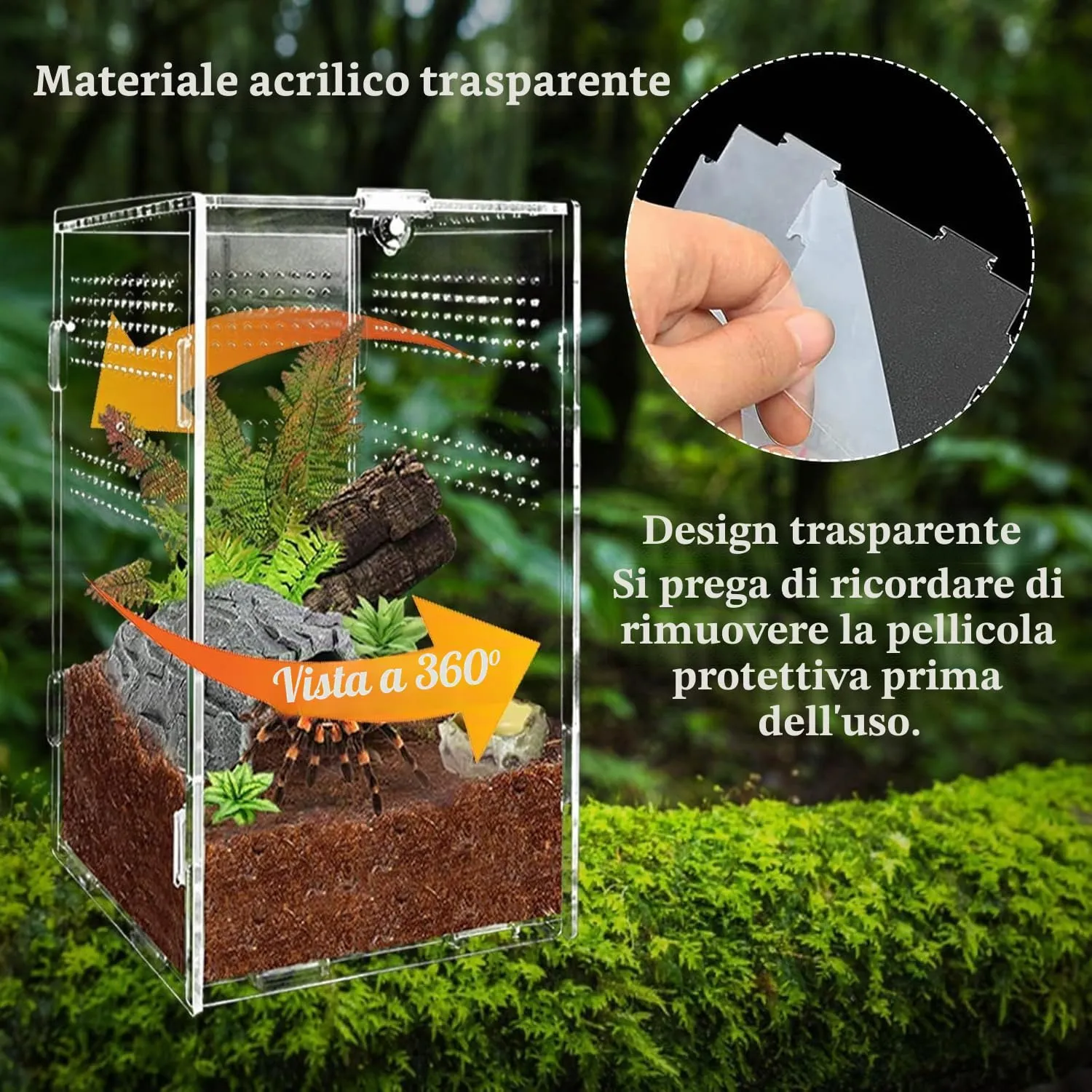 Gulxwis Terrario in Acrilico Trasparente per Insetti e Rettili, 12x12x20 cm - immagine 4