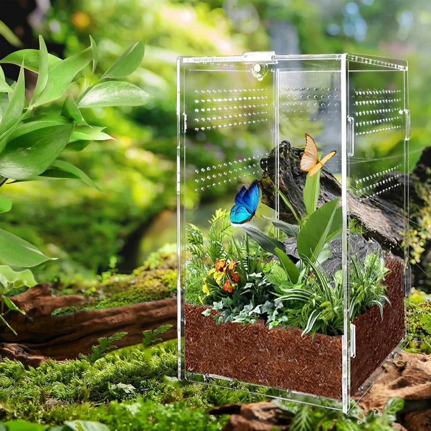 Gulxwis Terrario in Acrilico Trasparente per Insetti e Rettili, 12x12x20 cm - immagine 5