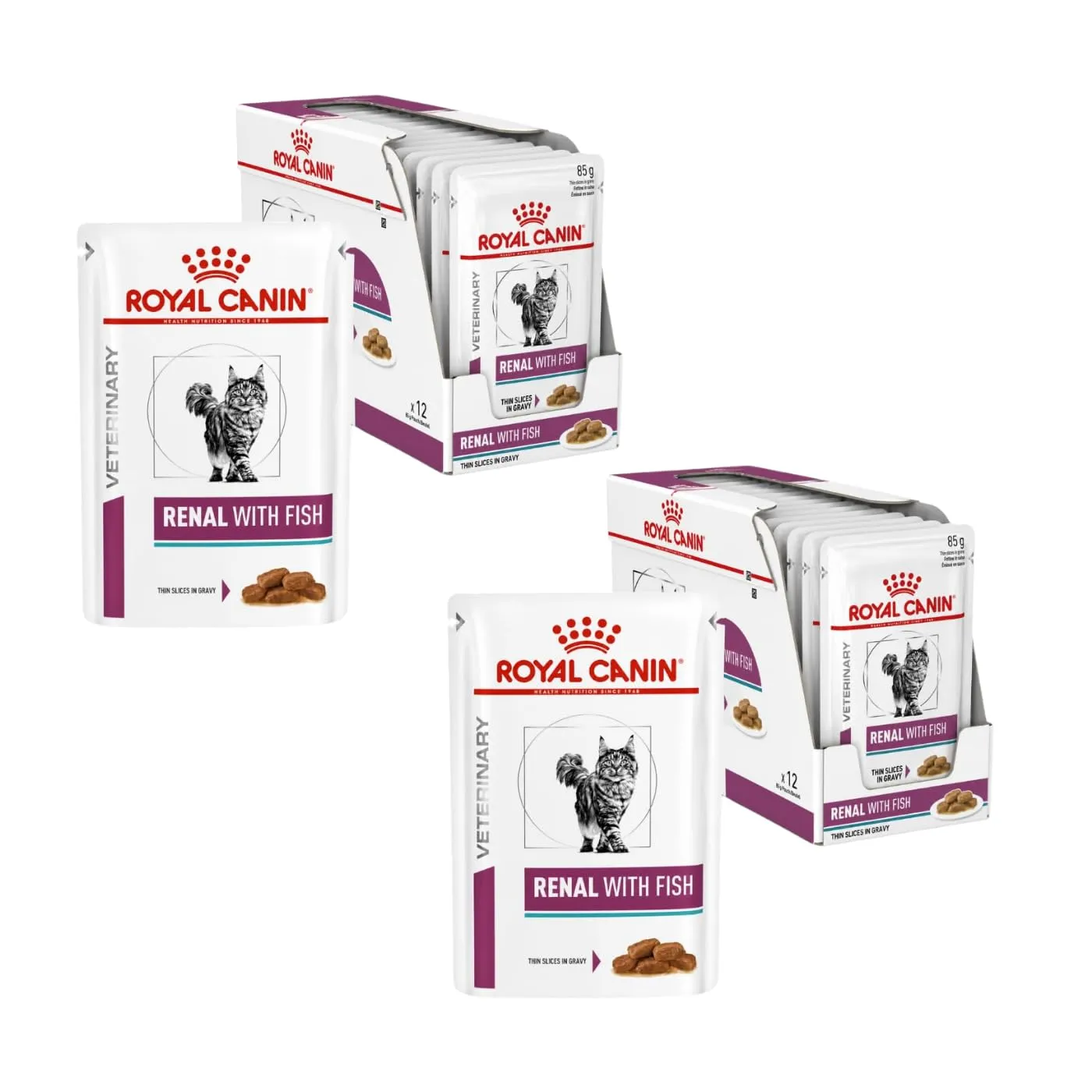 Royal Canin Veterinary Renal Fish Umido per Gatti, 2 x 12 x 85 g - immagine 1