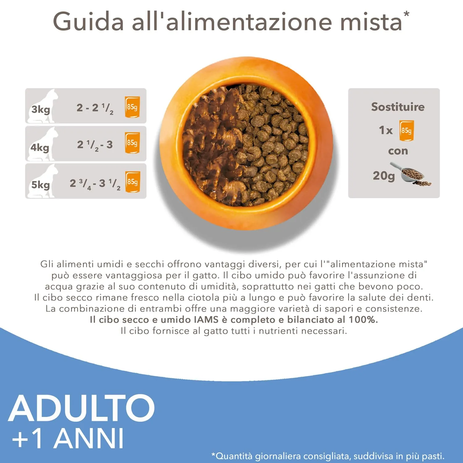 IAMS Delights Sea Collection Cibo Umido per Gatti in Gelatina, 12 x 85 g - immagine 6