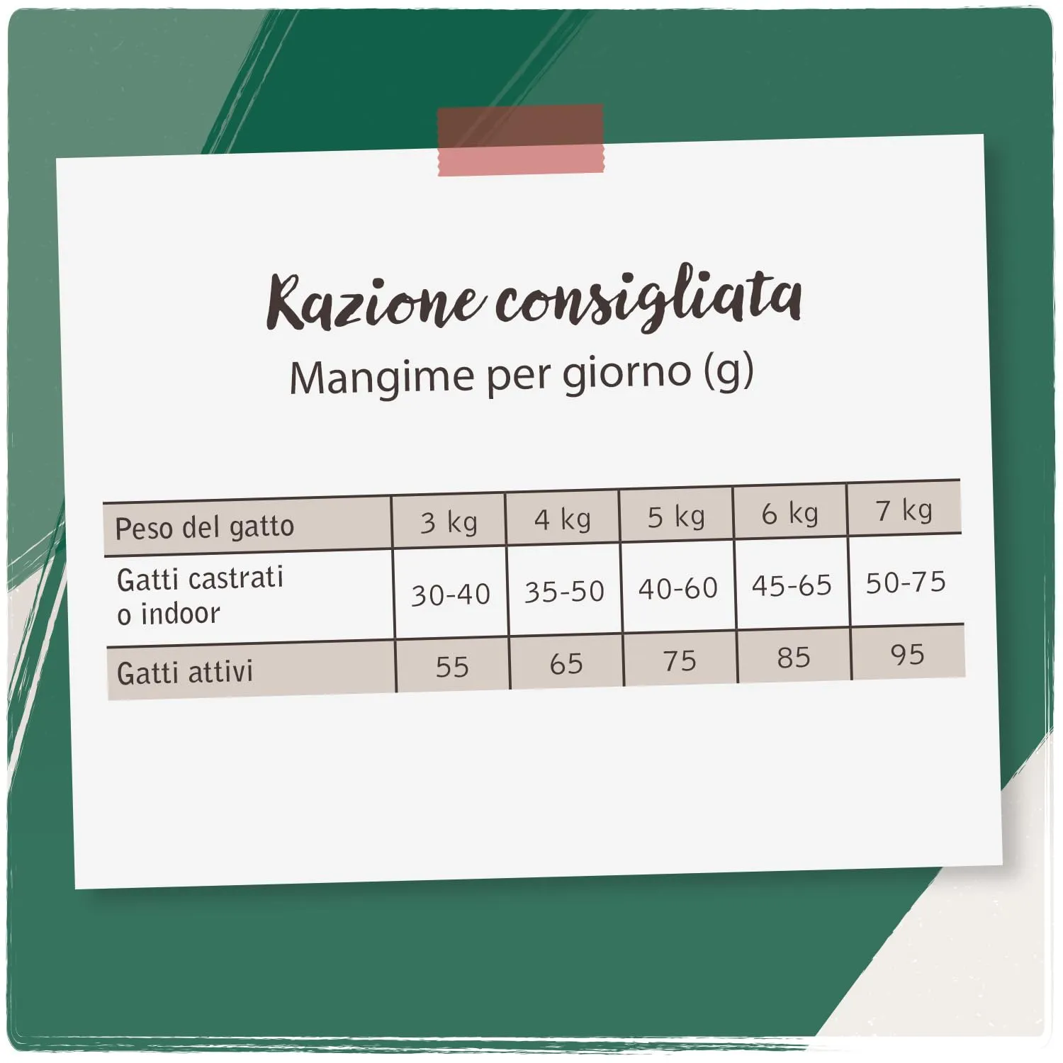 VenandiAnimal Alimento secco per gatti, Agnello, Senza Cereali, 6 kg - immagine 5