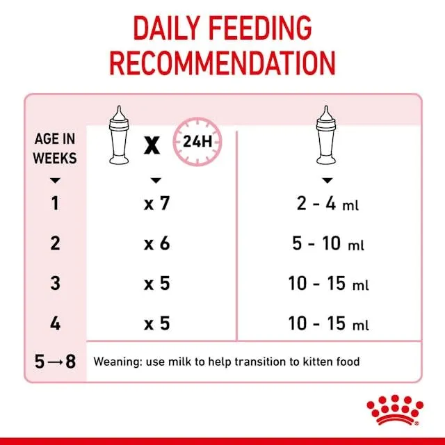Royal Canin Babycat Milk, 2 x 300 g - immagine 6