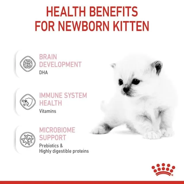 Royal Canin Babycat Milk, 2 x 300 g - immagine 8