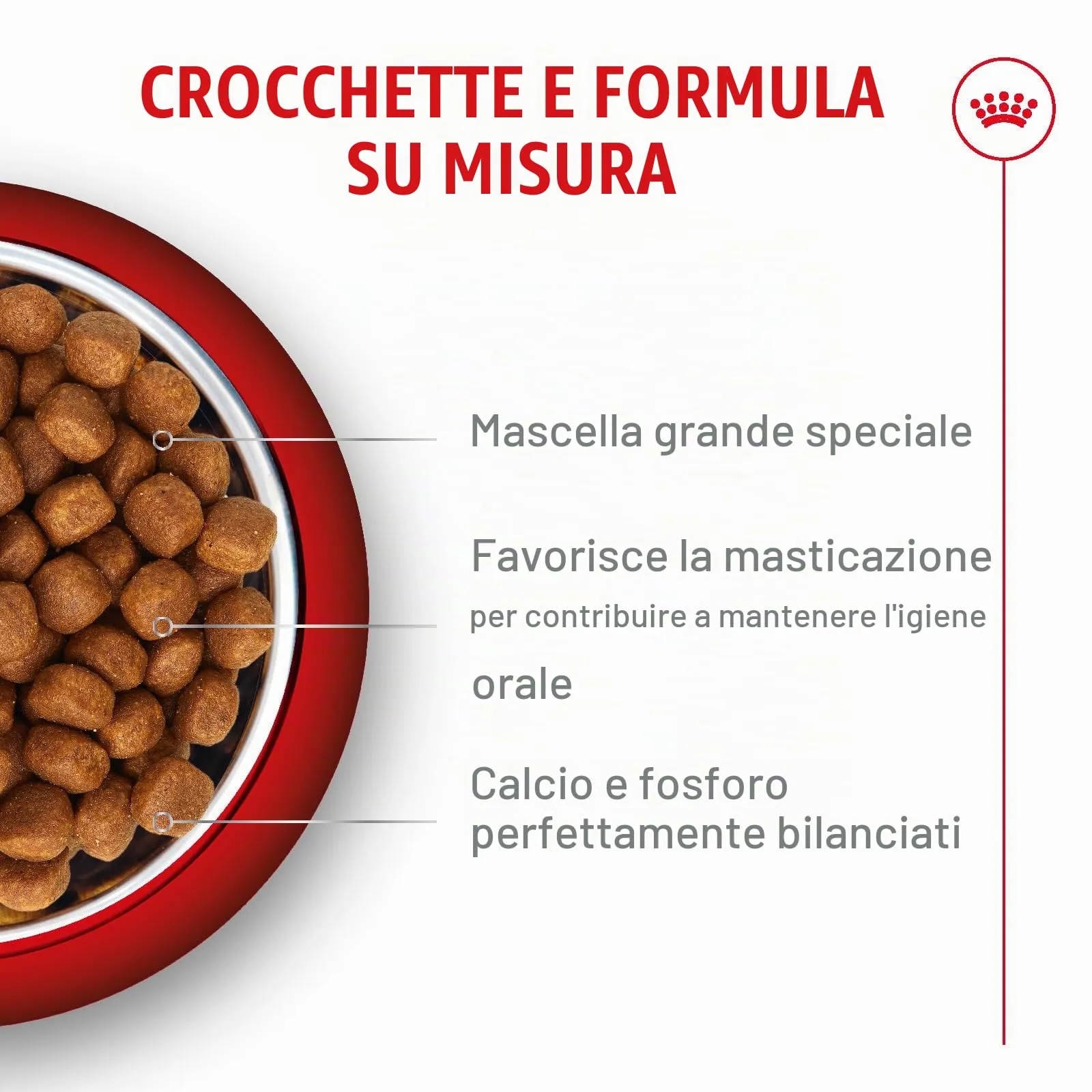 Royal Canin Maine Coon Kitten Dry Cat Food, 400 g - immagine 4