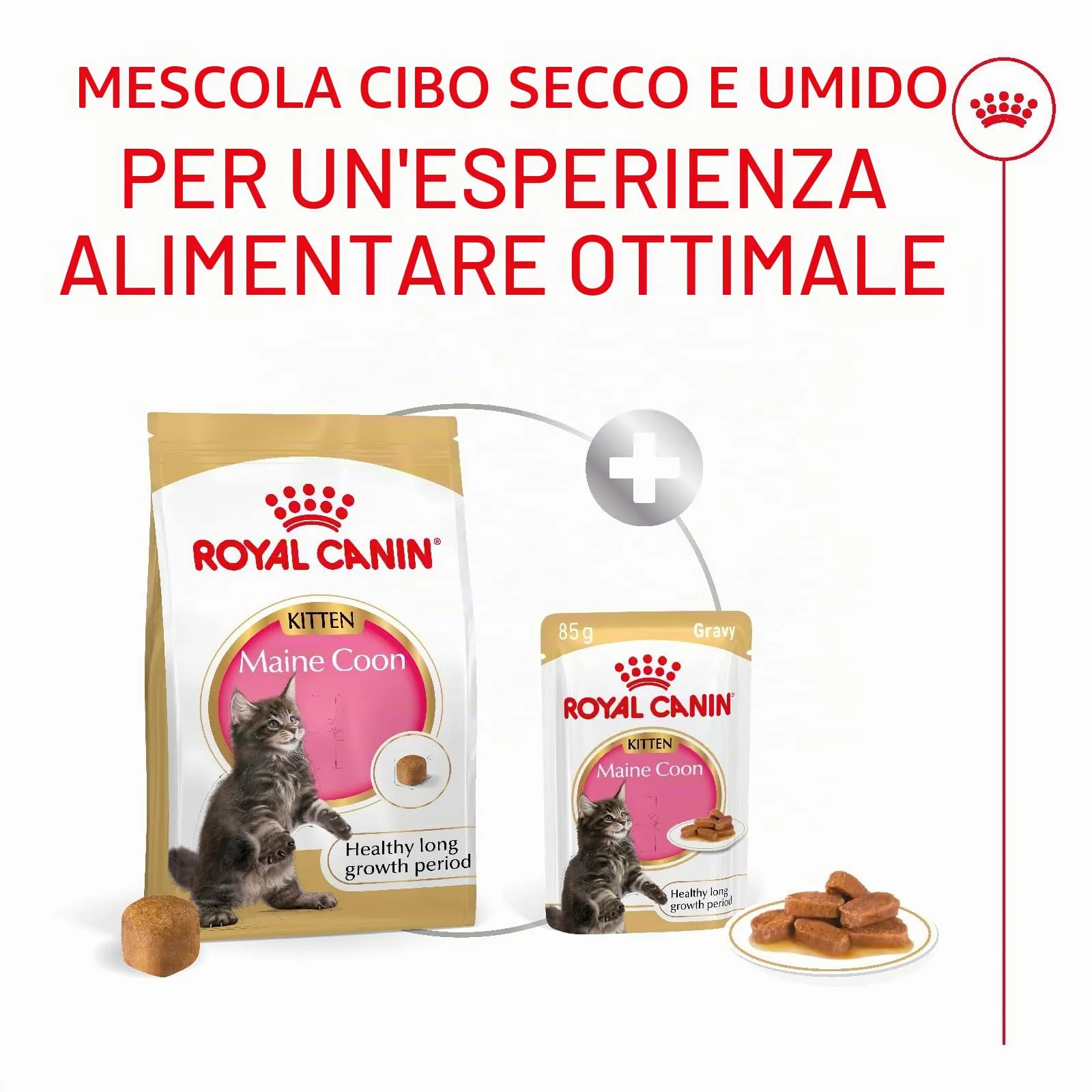 Royal Canin Maine Coon Kitten Dry Cat Food, 400 g - immagine 5
