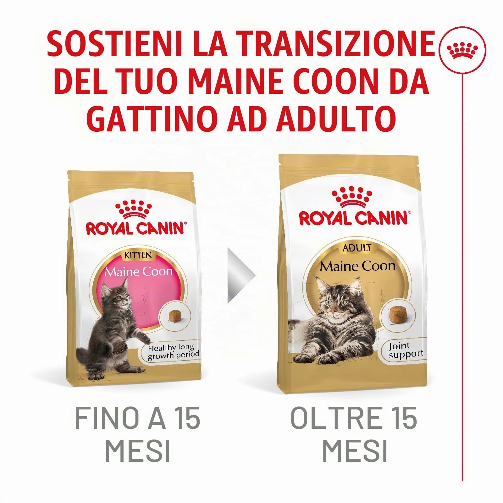 Royal Canin Maine Coon Kitten Dry Cat Food, 400 g - immagine 6