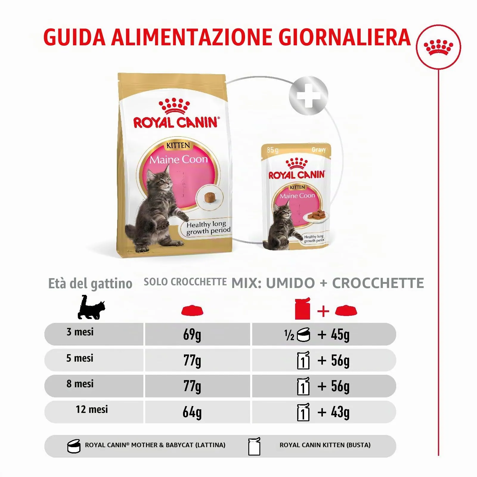 Royal Canin Maine Coon Kitten Dry Cat Food, 400 g - immagine 8