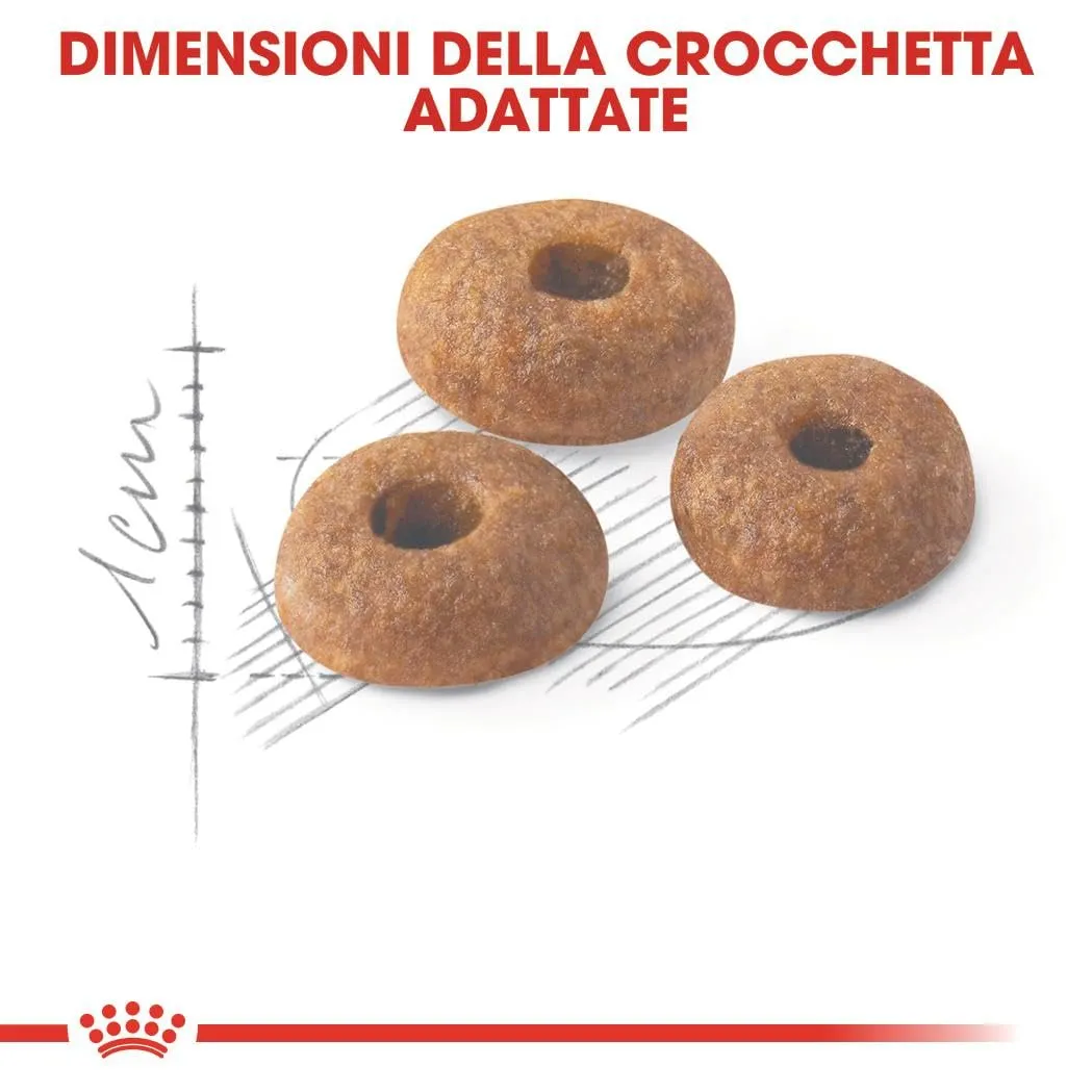 Royal Canin Fit 32 Alimento secco completo per gatti adulti, 10kg - immagine 4