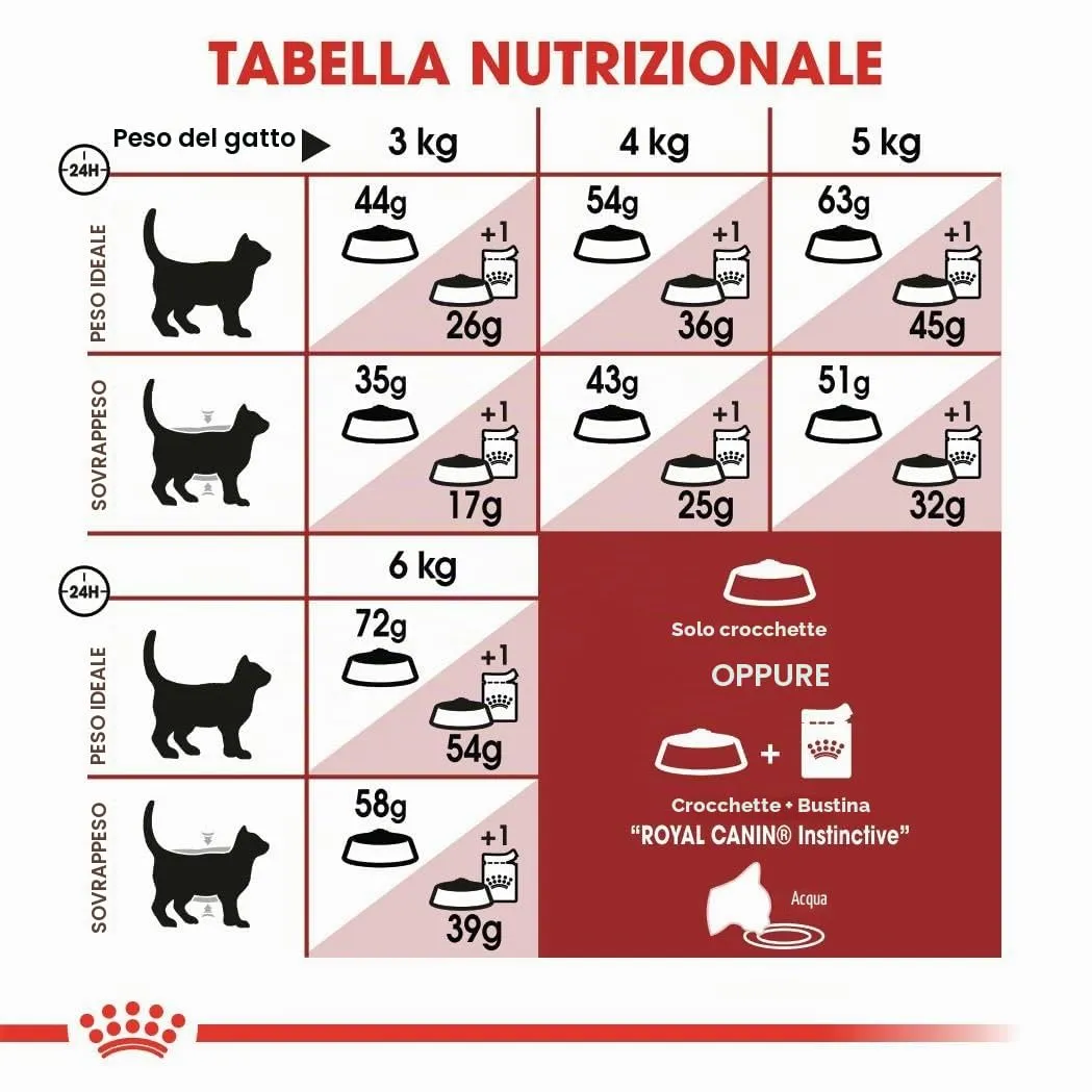 Royal Canin Fit 32 Alimento secco completo per gatti adulti, 10kg - immagine 5
