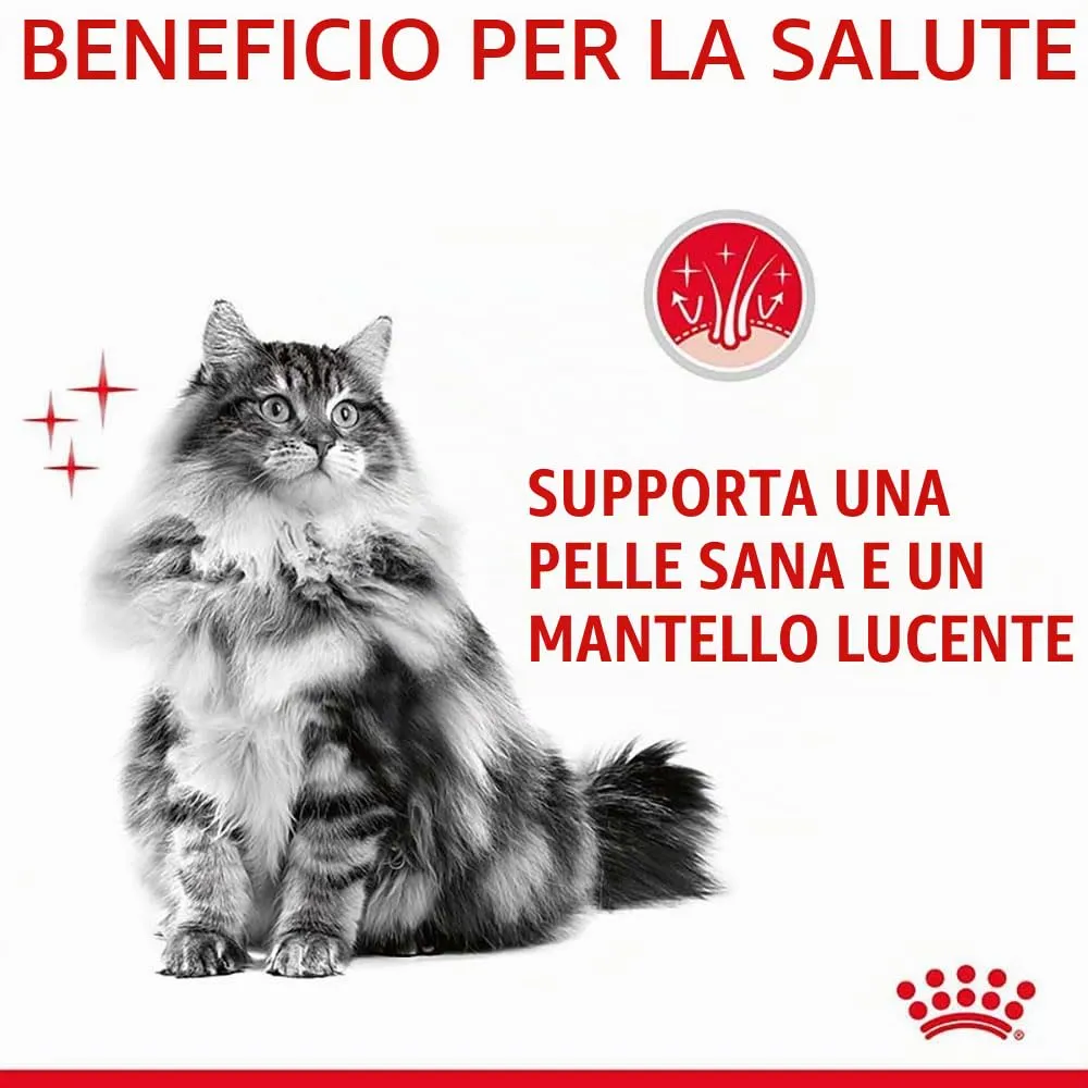 Royal Canin Hair & Skin Care Gravy for Adult Cats, 12 x 85 g - immagine 7