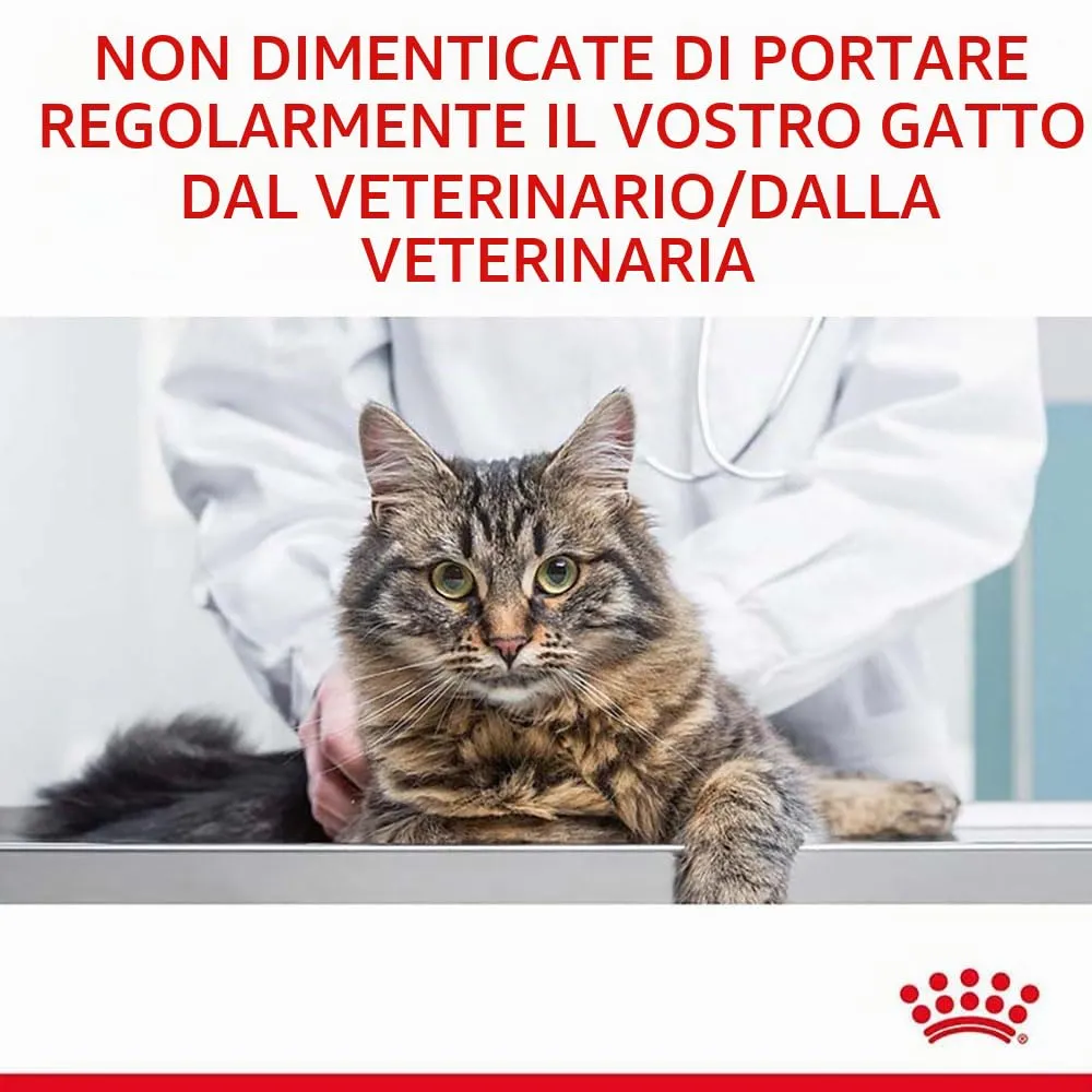 Royal Canin Hair & Skin Care Gravy for Adult Cats, 12 x 85 g - immagine 9