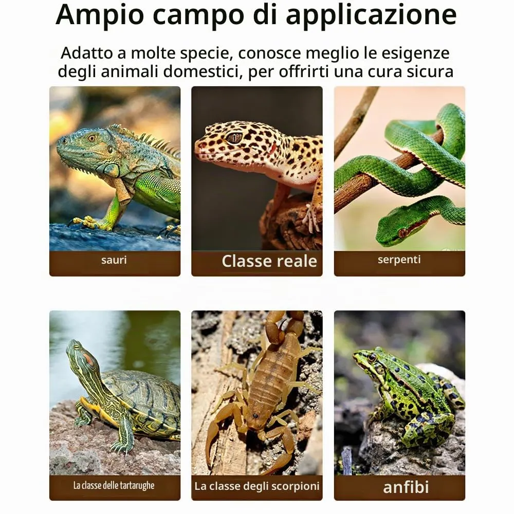 Geoyien Tappetino Riscaldante per Rettili, 42x28cm, Nero - immagine 8