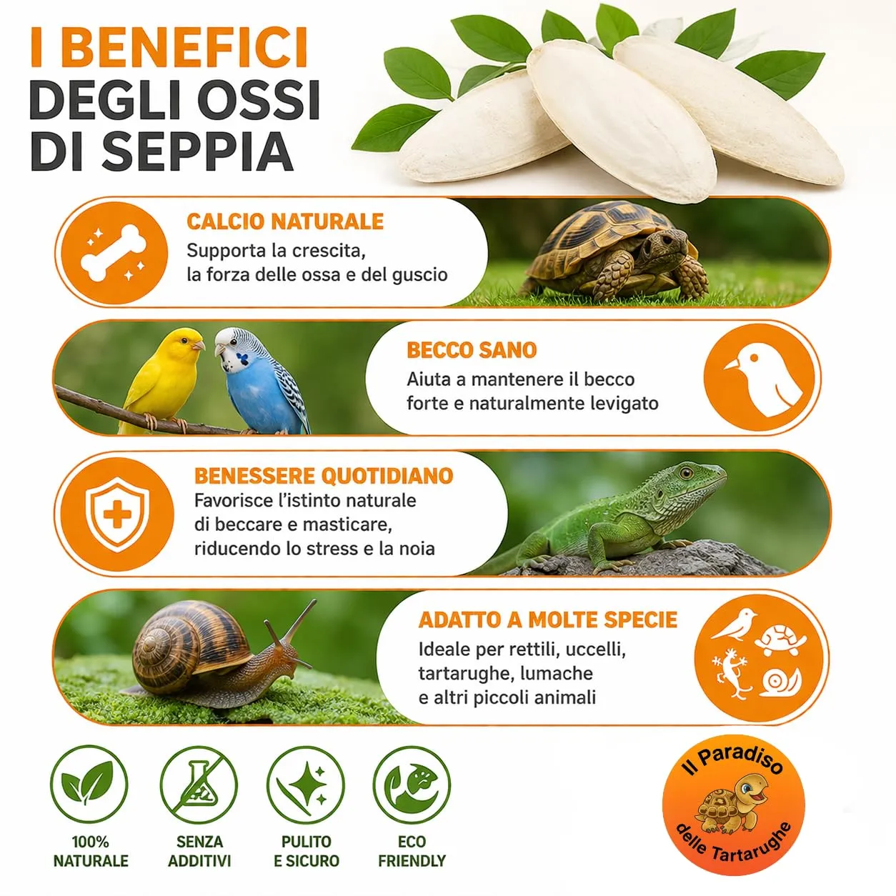 Il Paradiso delle tartarughe Ossa di Seppia Frammentati 200g per Uccelli, Rettili e Invertebrati - immagine 5