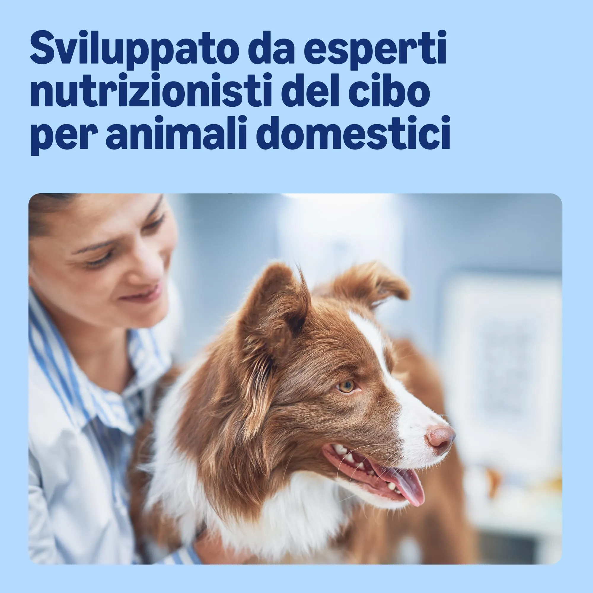 by Amazon Cibo umido per cani, bocconcini di pollame in salsa, 1,24 kg - immagine 3