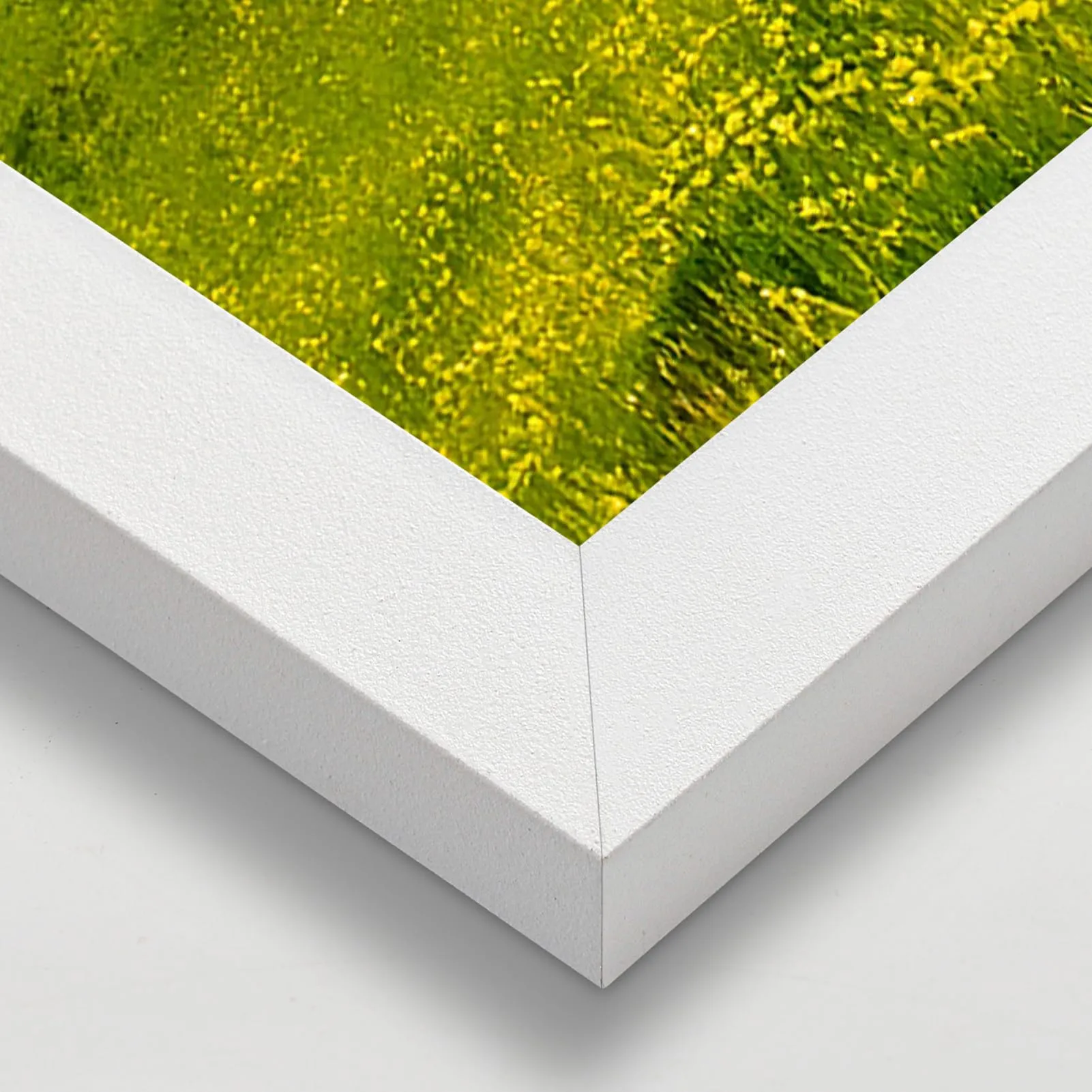 Ditwis Cornice in Alluminio Bianca 50x70 cm - immagine 6