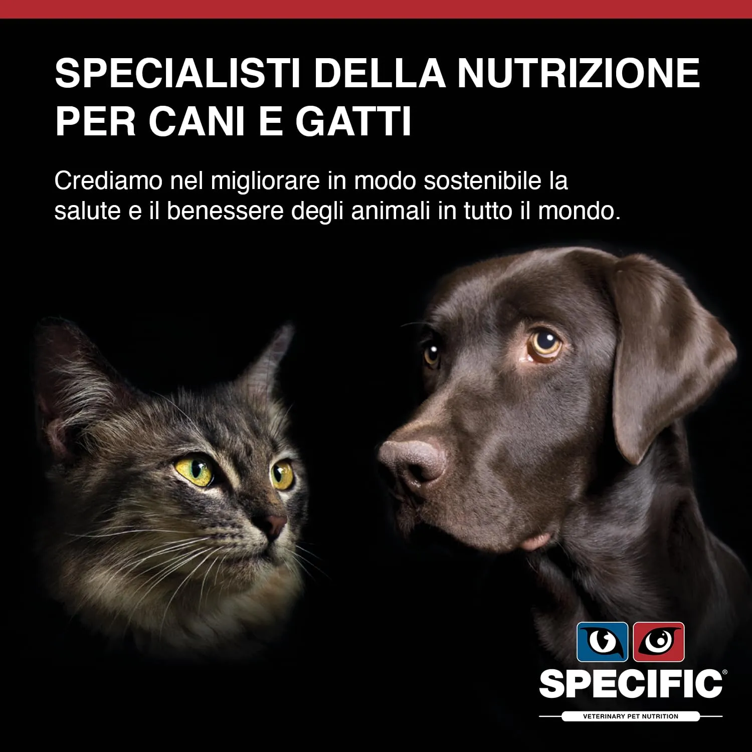 Specific Weight Reduction FRD Cat Food, 1.6kg - immagine 5