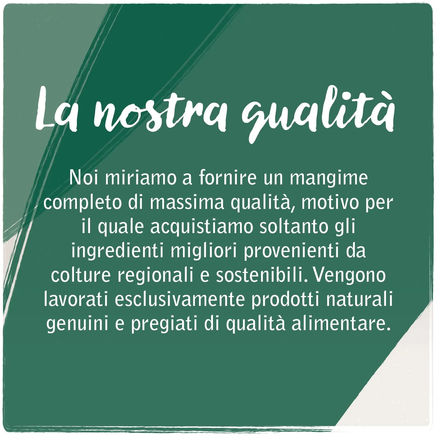 VenandiAnimal Mangime Secco per Gatti Senza Cereali, Pacchetto di Prova (2 Pollo, 2 Bovino, 1 Salmone, 1 Agnello), 6 x 300 g - immagine 2