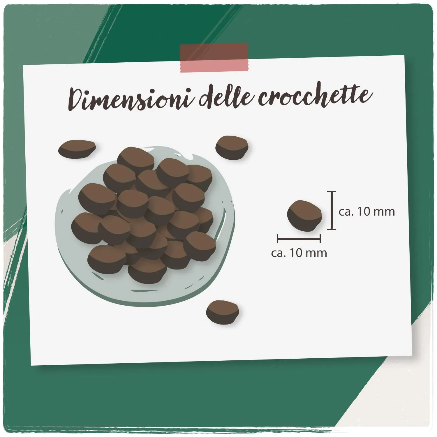 VenandiAnimal Mangime Secco per Gatti Senza Cereali, Pacchetto di Prova (2 Pollo, 2 Bovino, 1 Salmone, 1 Agnello), 6 x 300 g - immagine 4