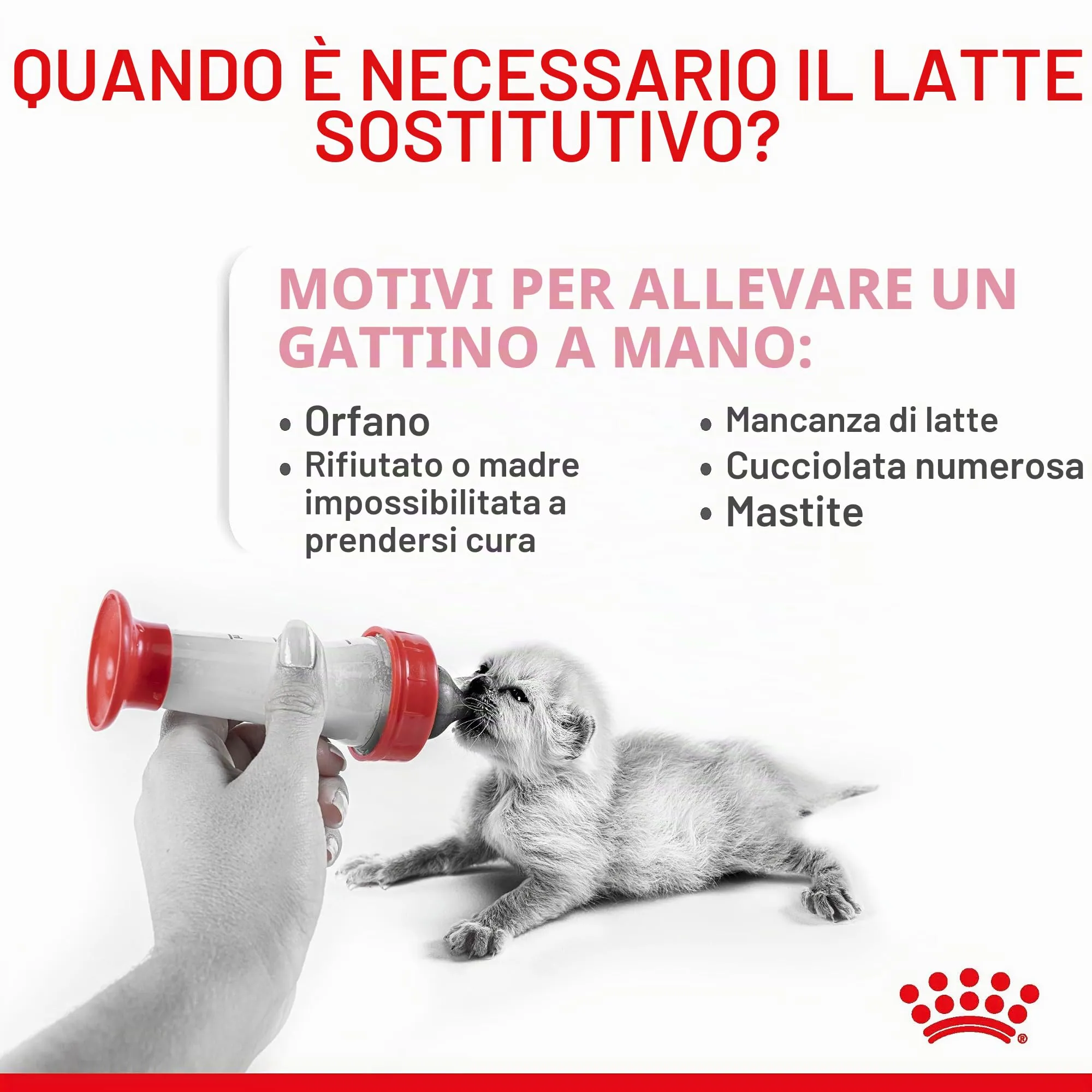 Royal Canin Babycat Milk Latte in polvere per gattini, 300 g - immagine 3